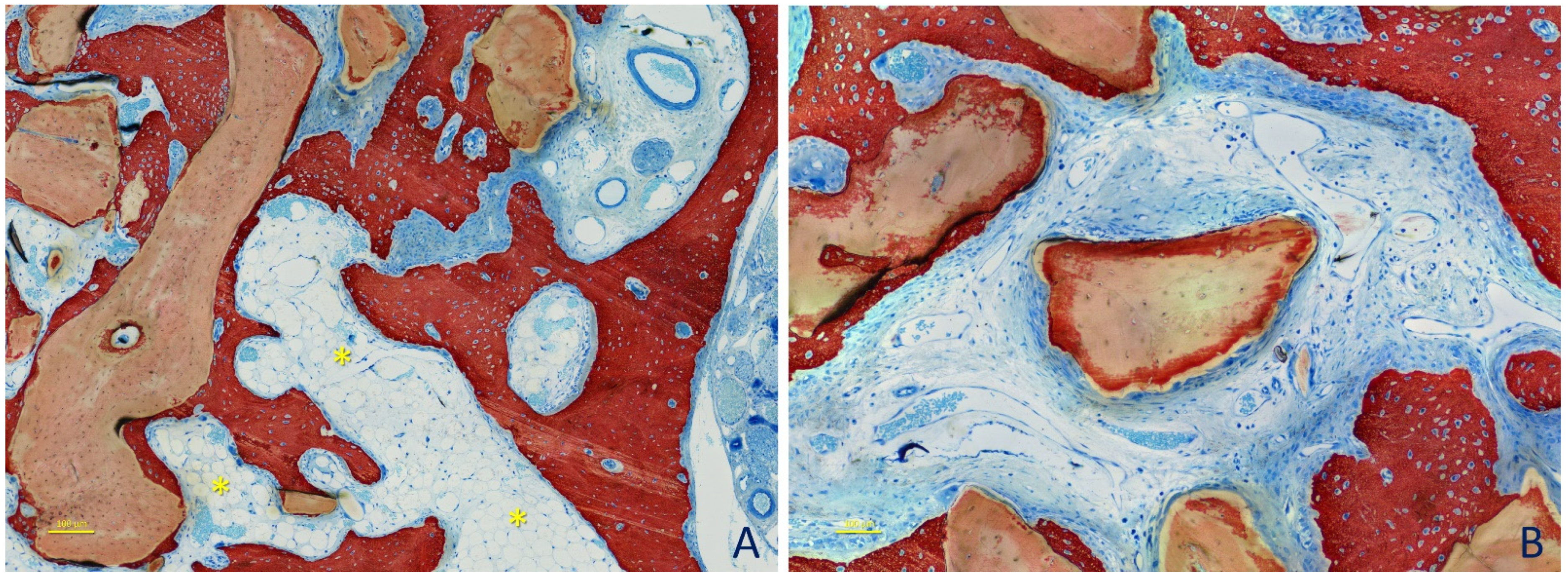 Dentistry 09 00061 g007