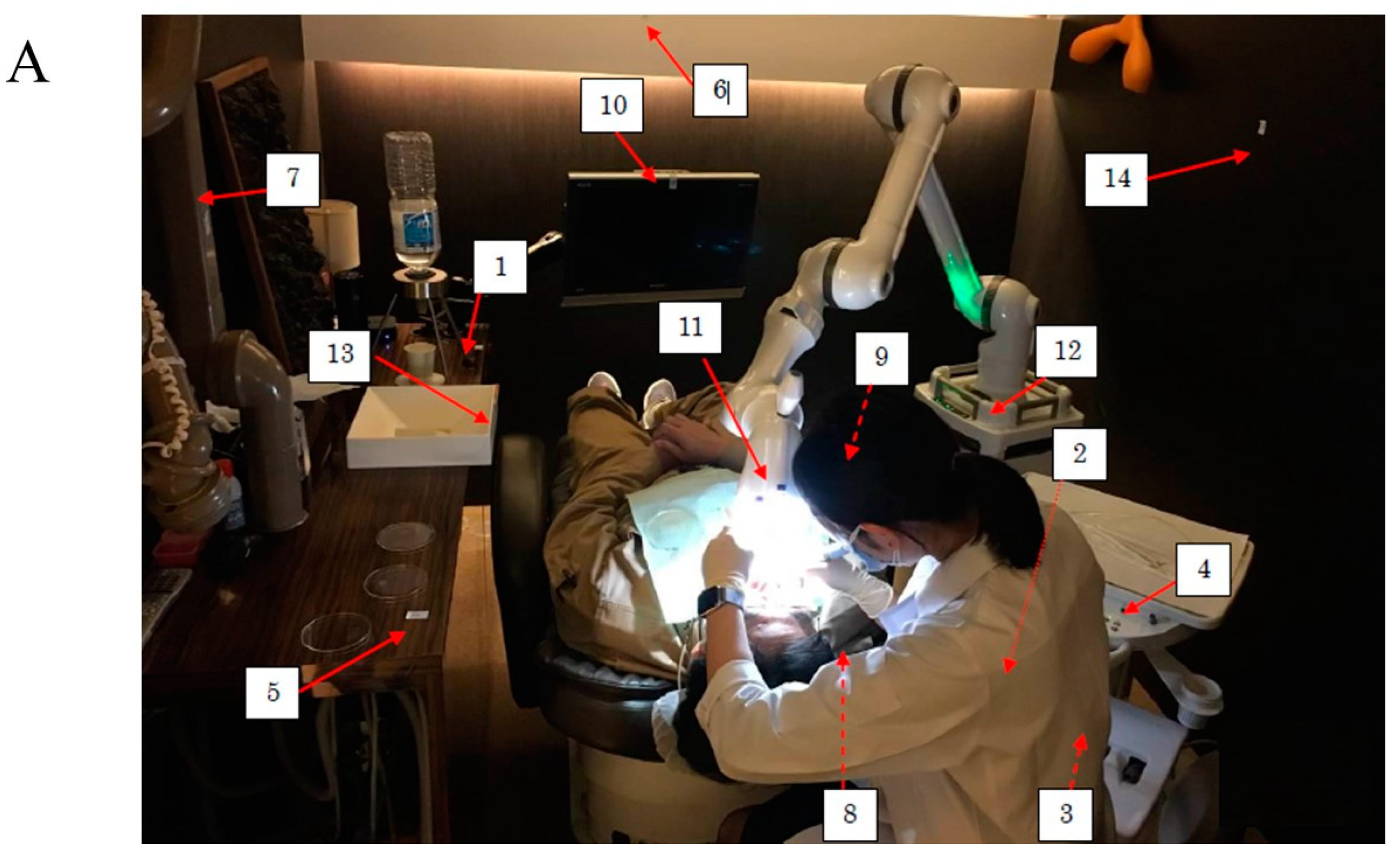 Dentistry 09 00080 g002a