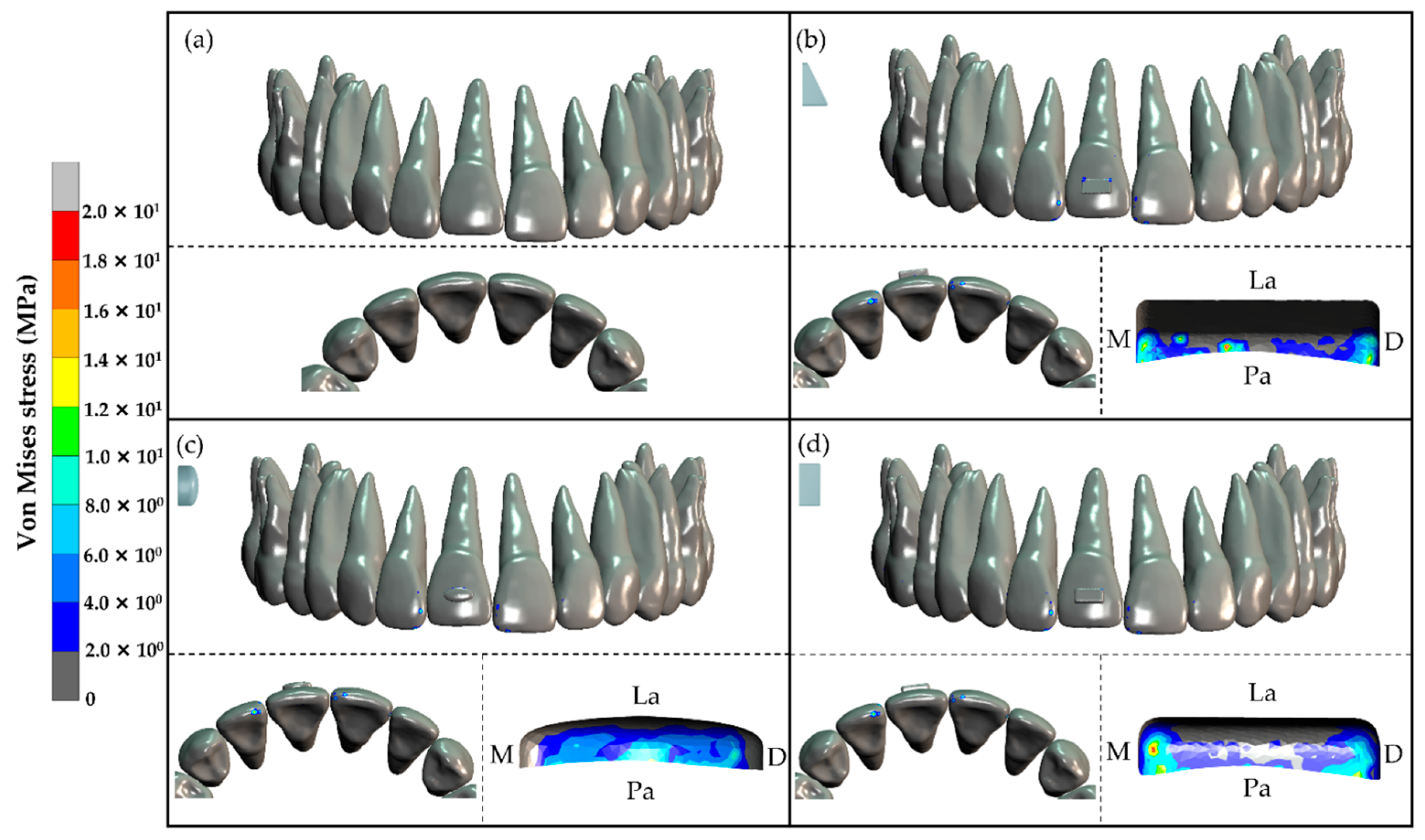 Dentistry 10 00114 g005