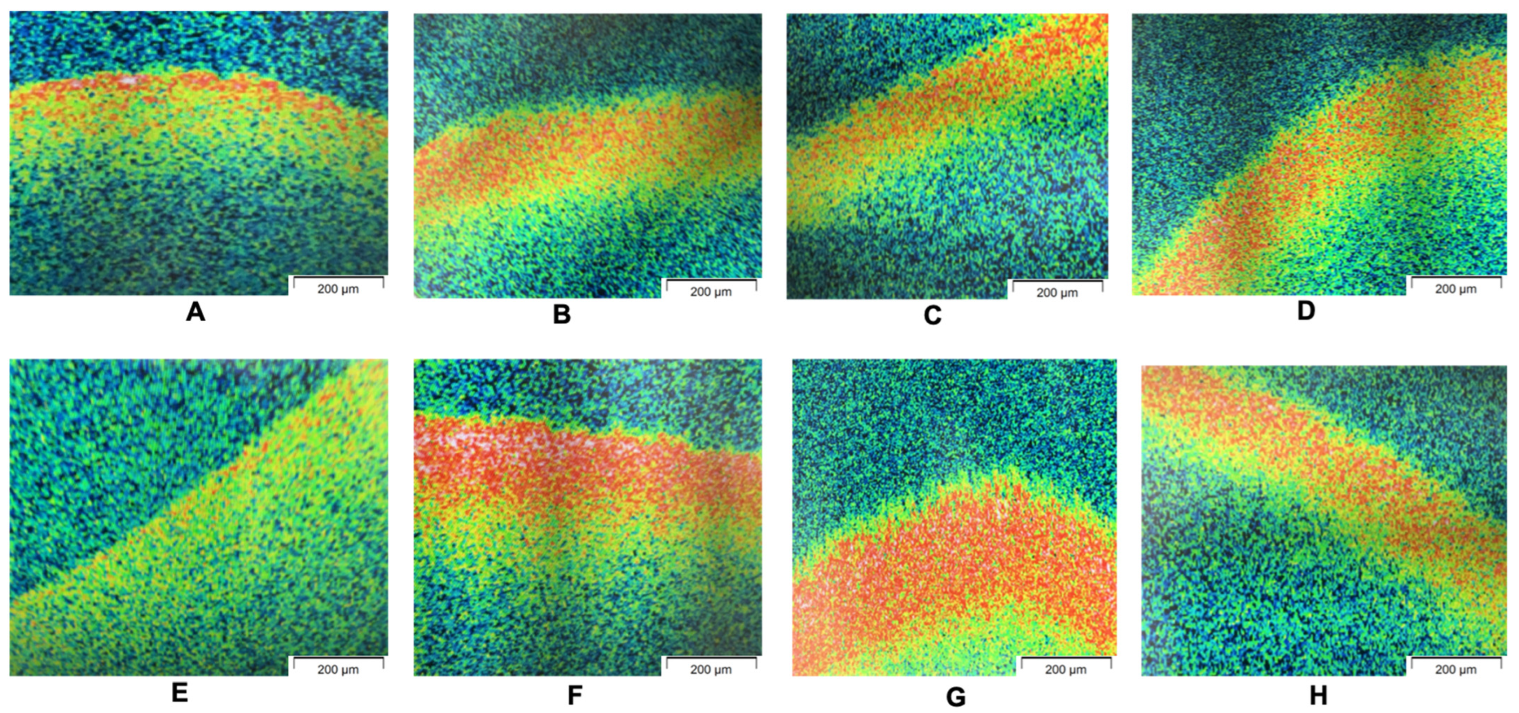 Dentistry 12 00126 g003
