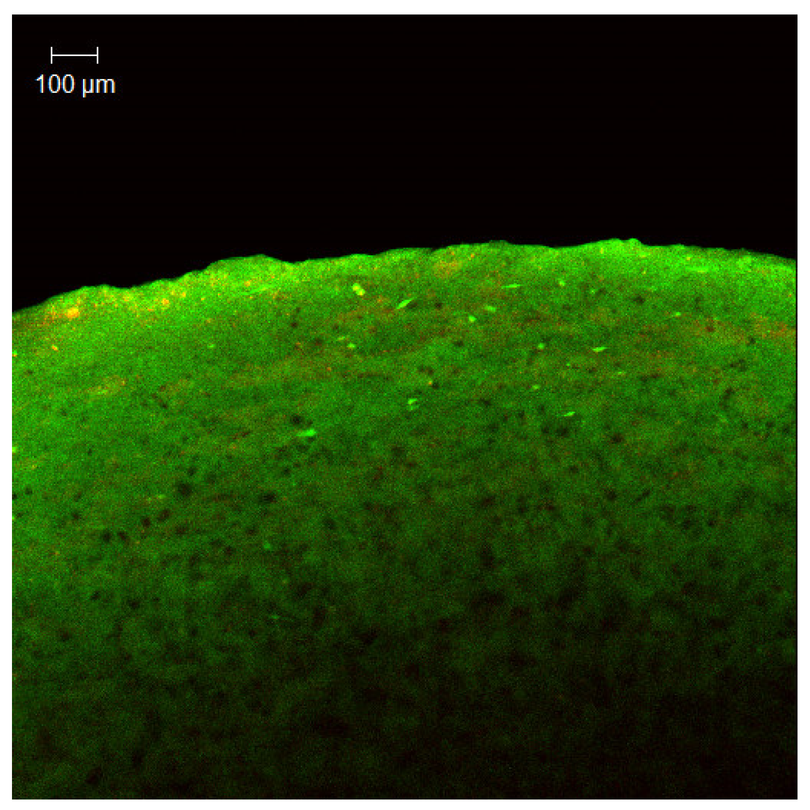 Dentistry 12 00126 g004