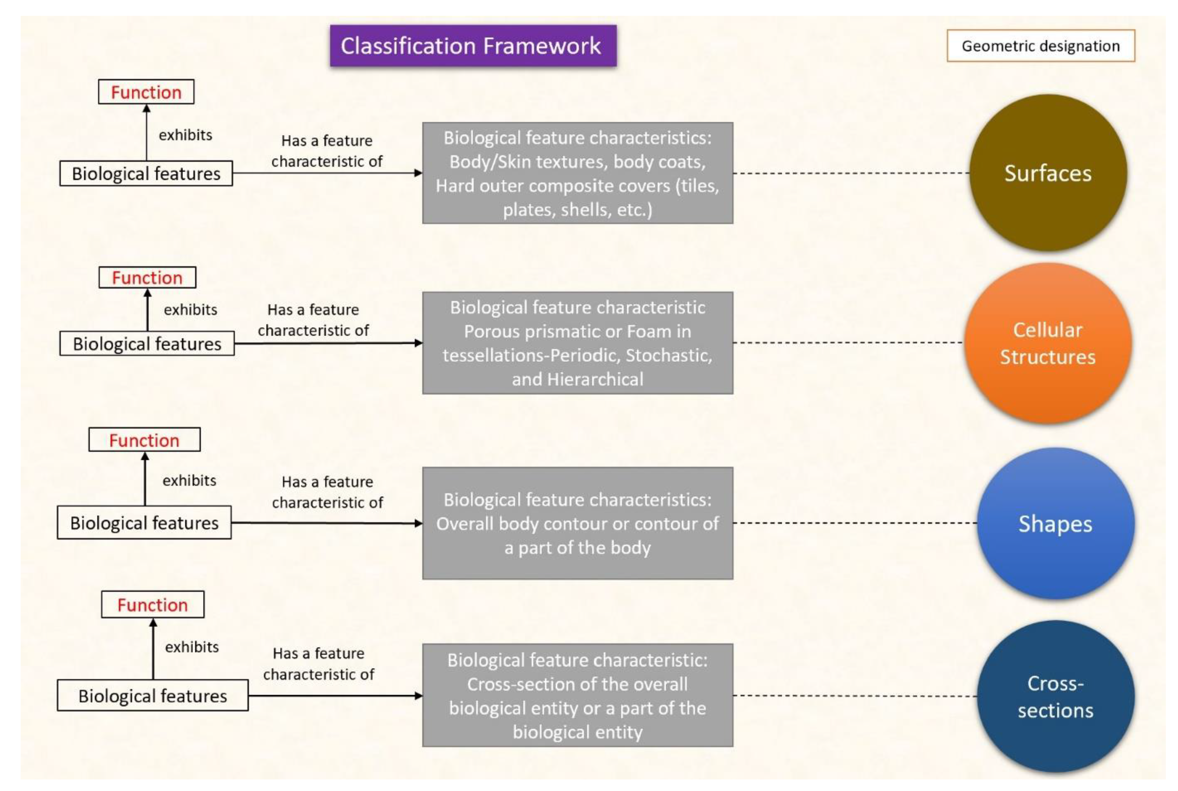 Designs 07 00086 g002