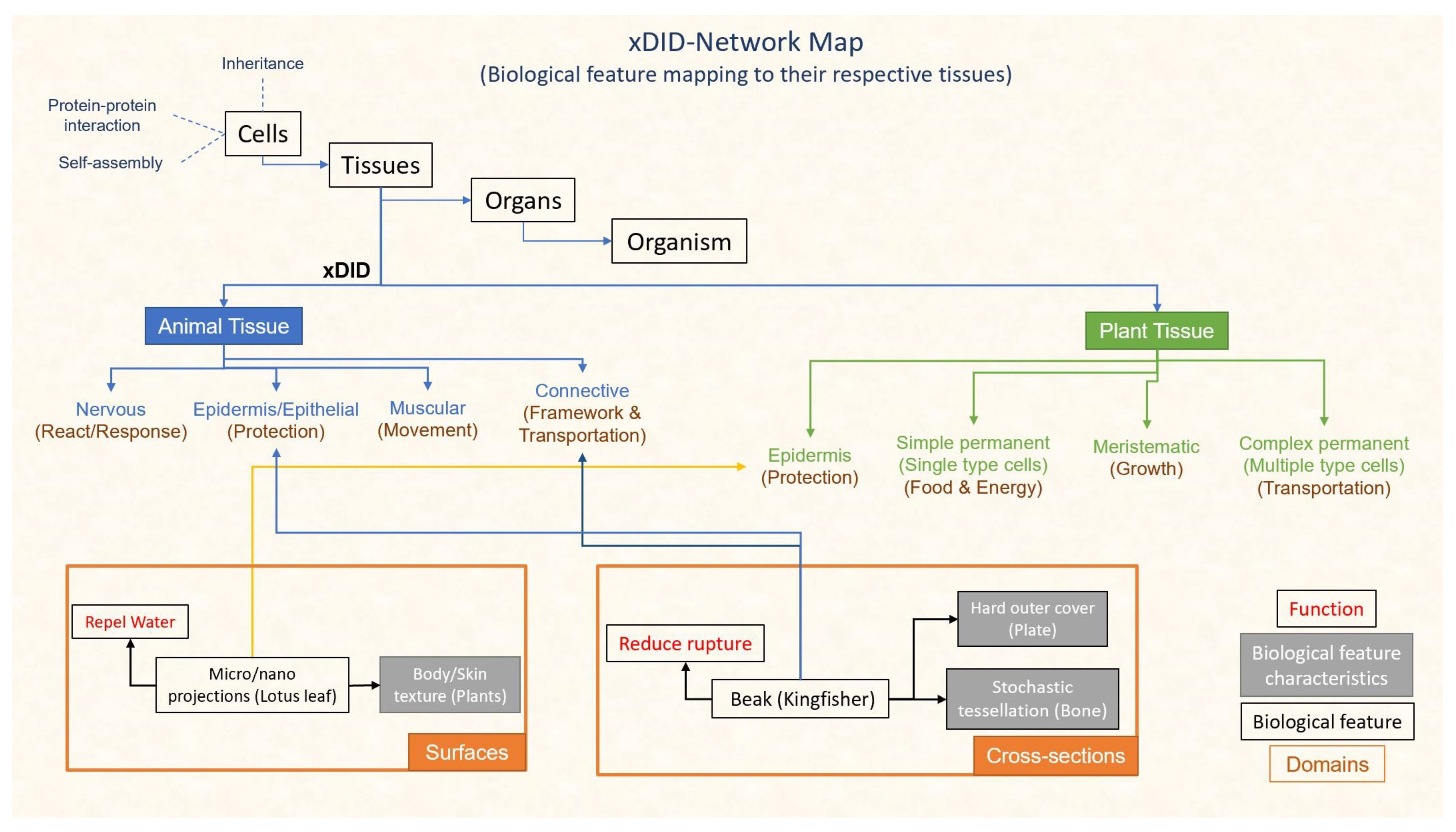 Designs 07 00086 g003