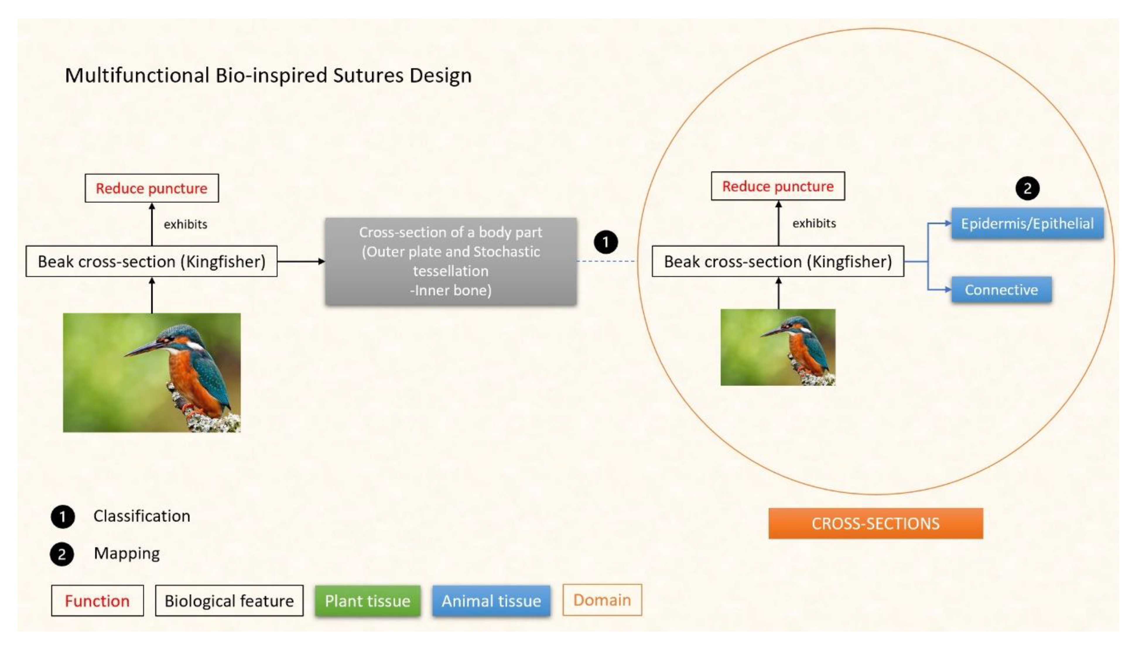 Designs 07 00086 g012