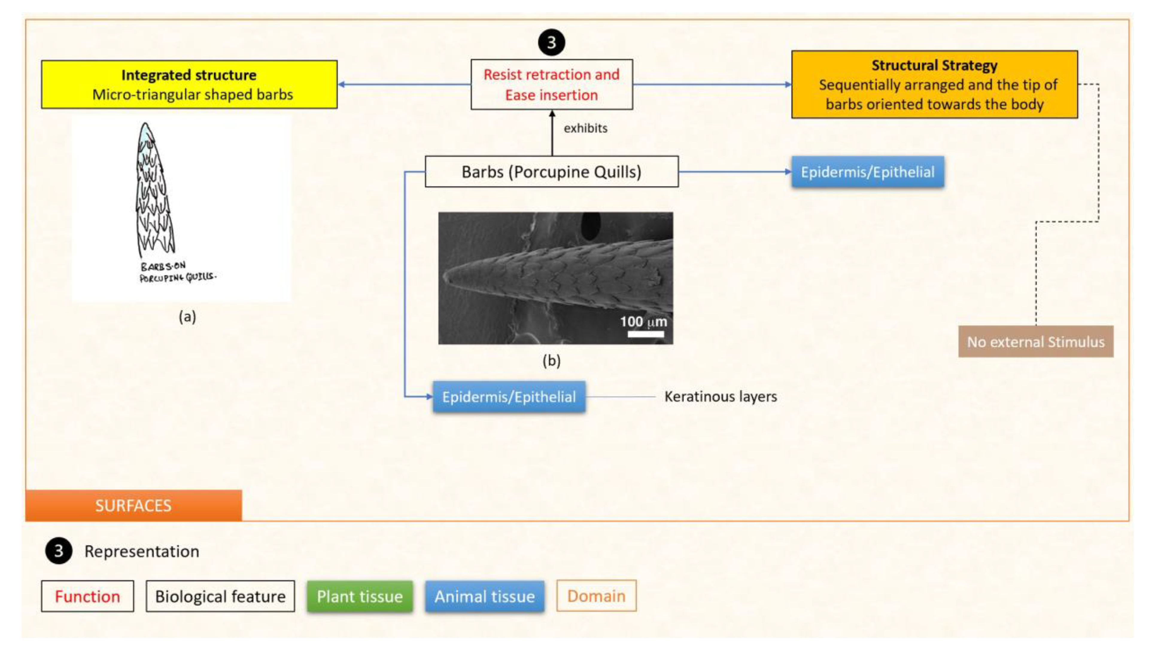 Designs 07 00086 g015