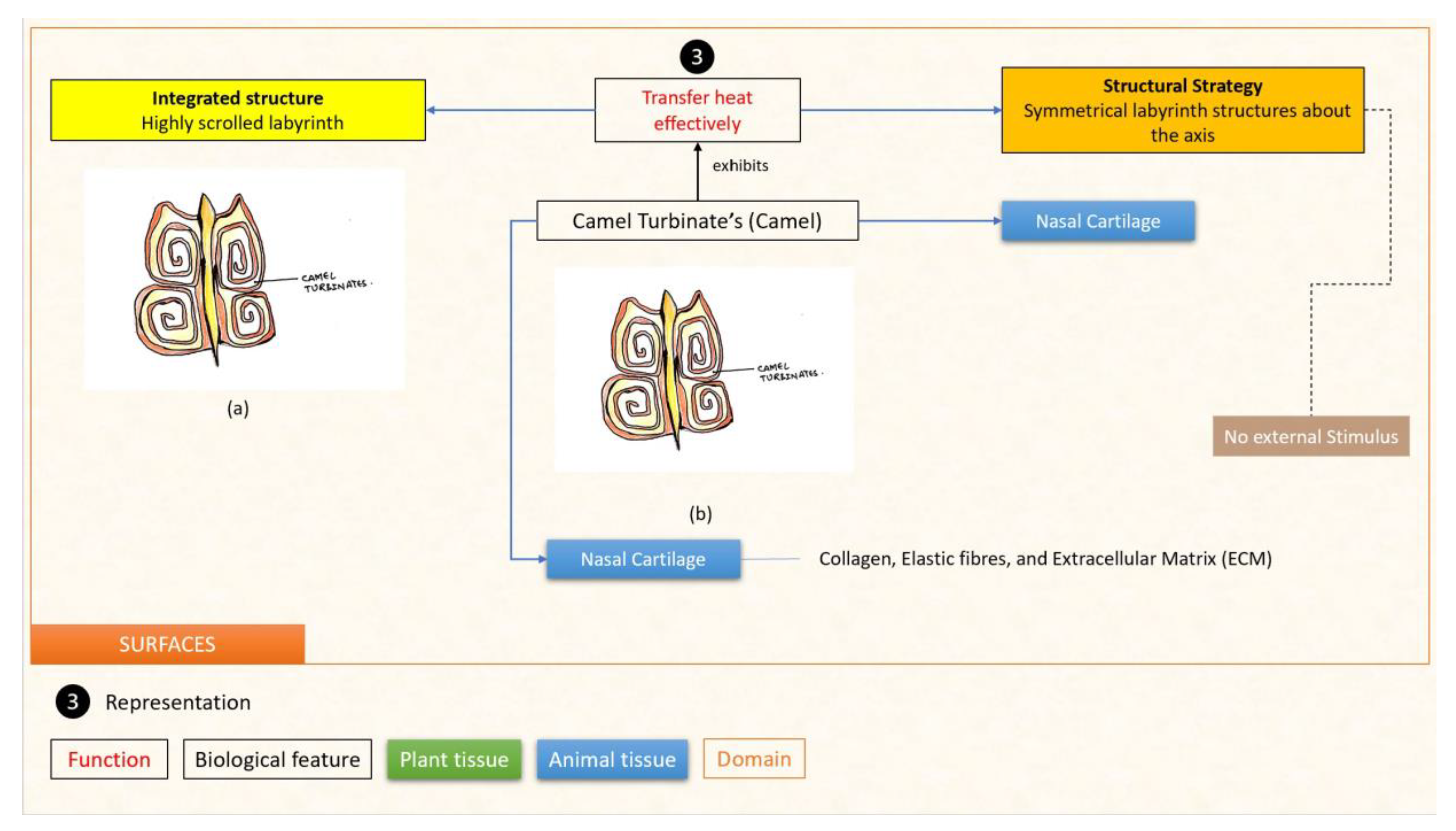 Designs 07 00086 g018