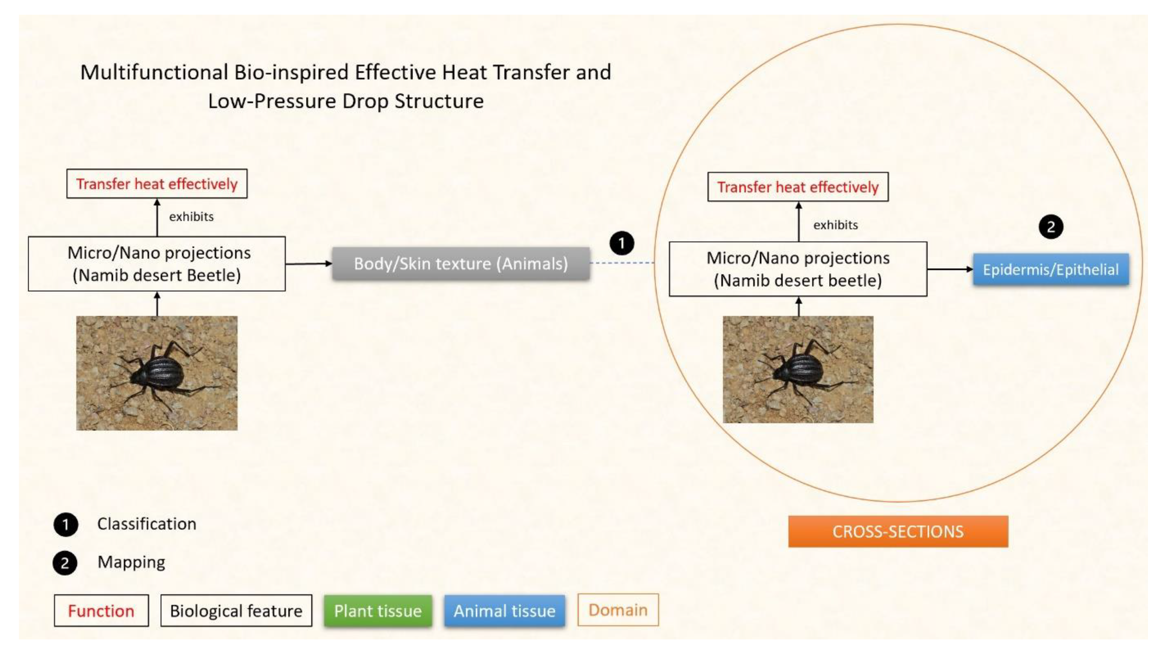 Designs 07 00086 g019