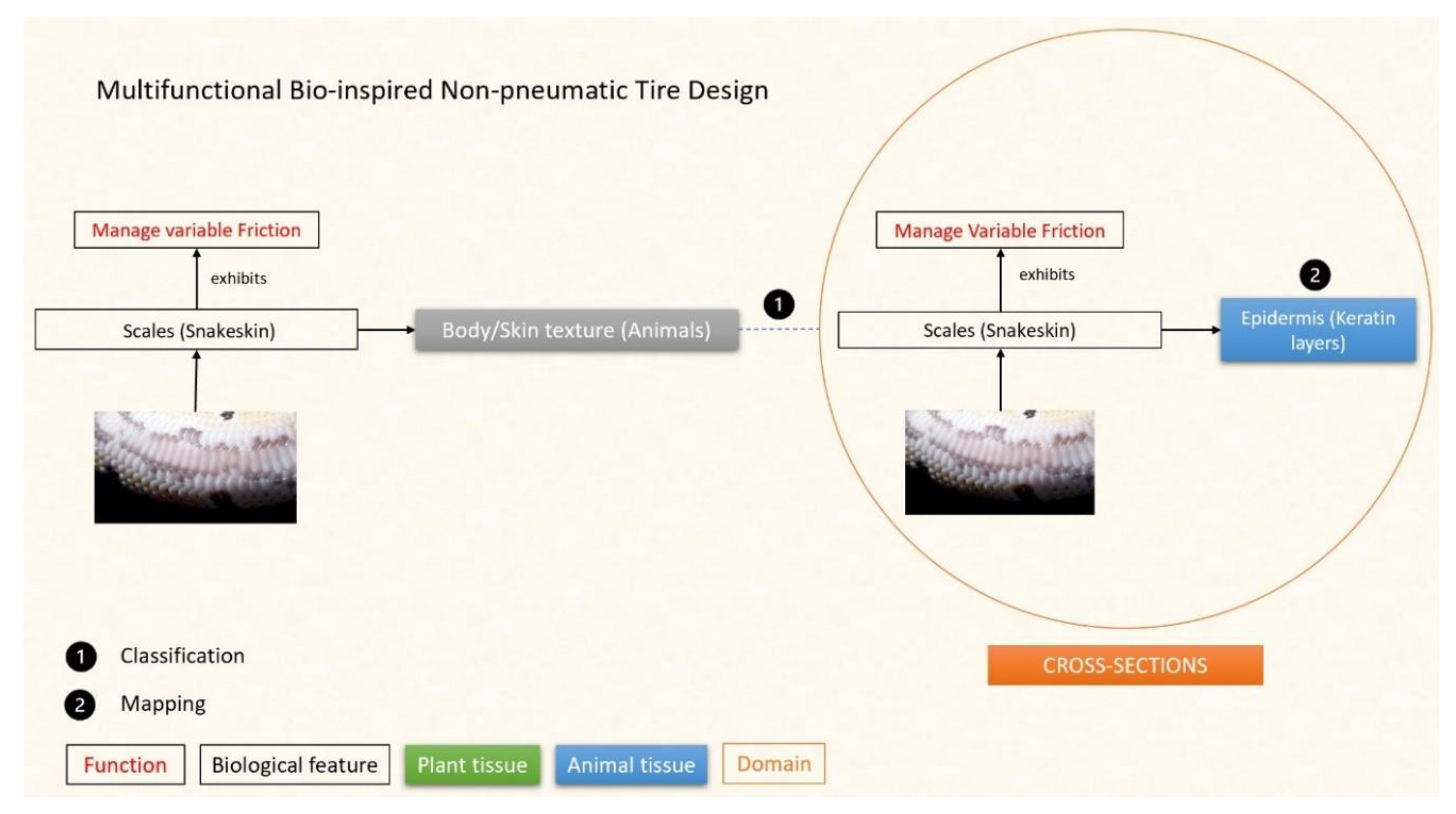 Designs 07 00086 g022