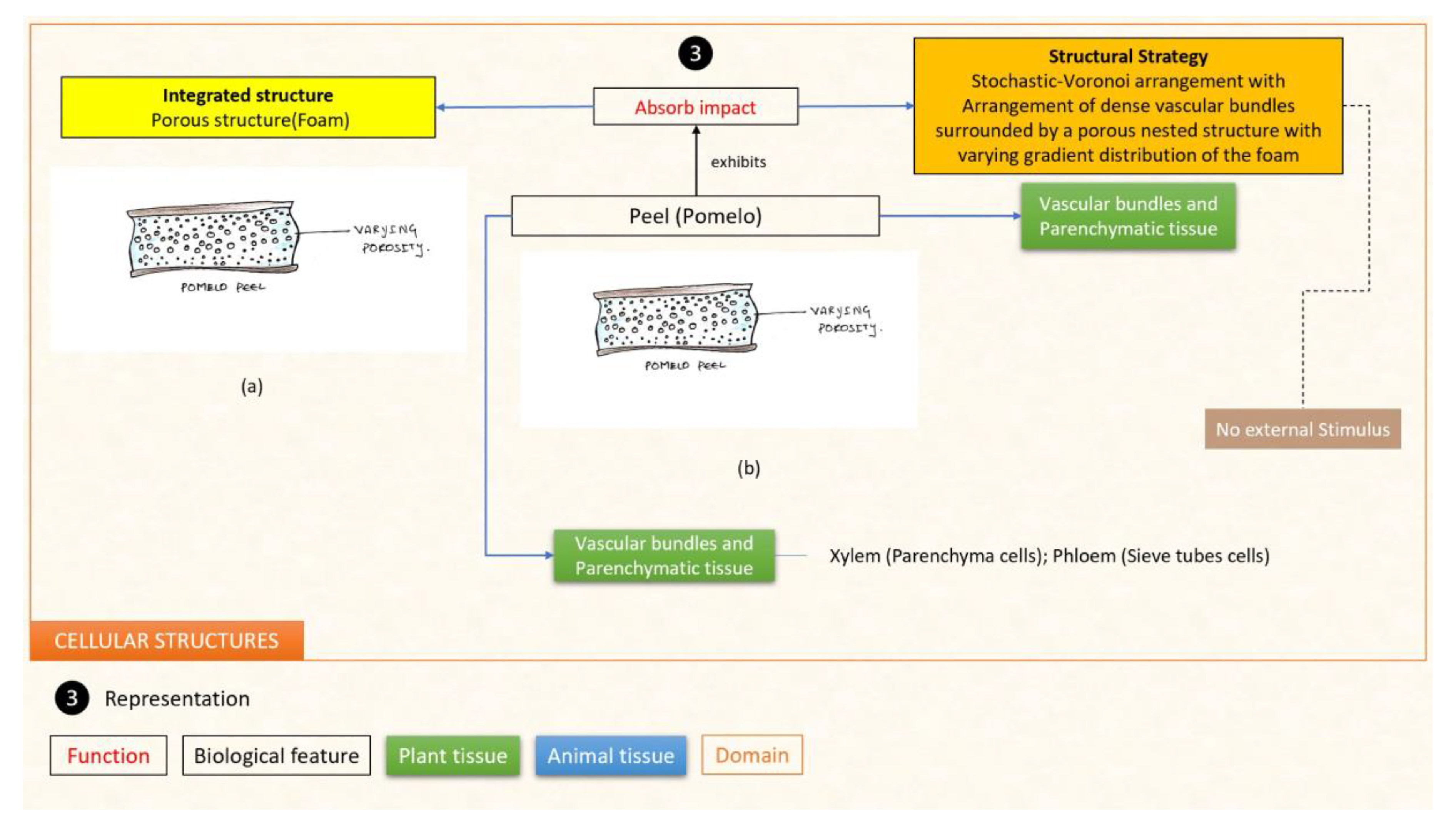 Designs 07 00086 g027