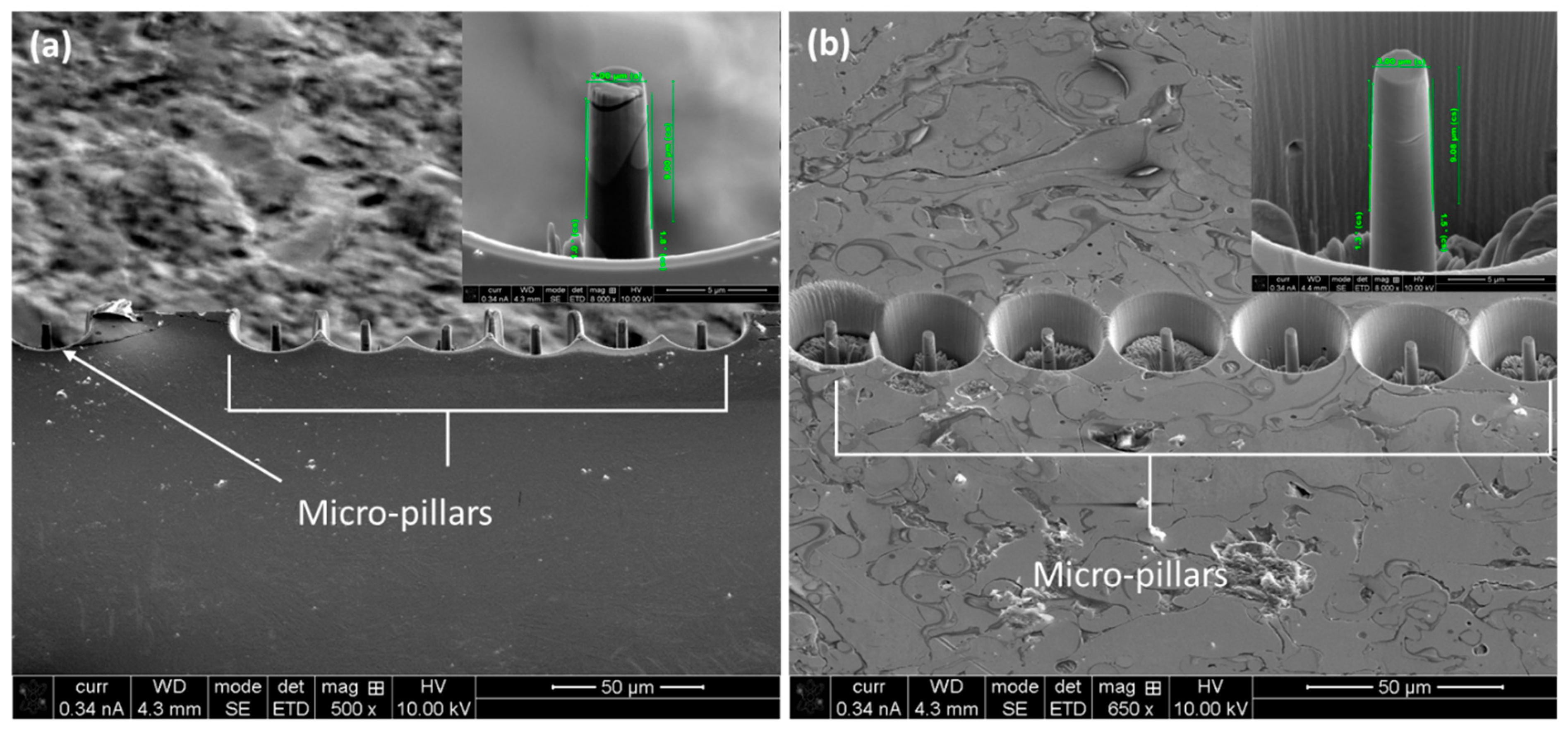 Designs 08 00037 g008