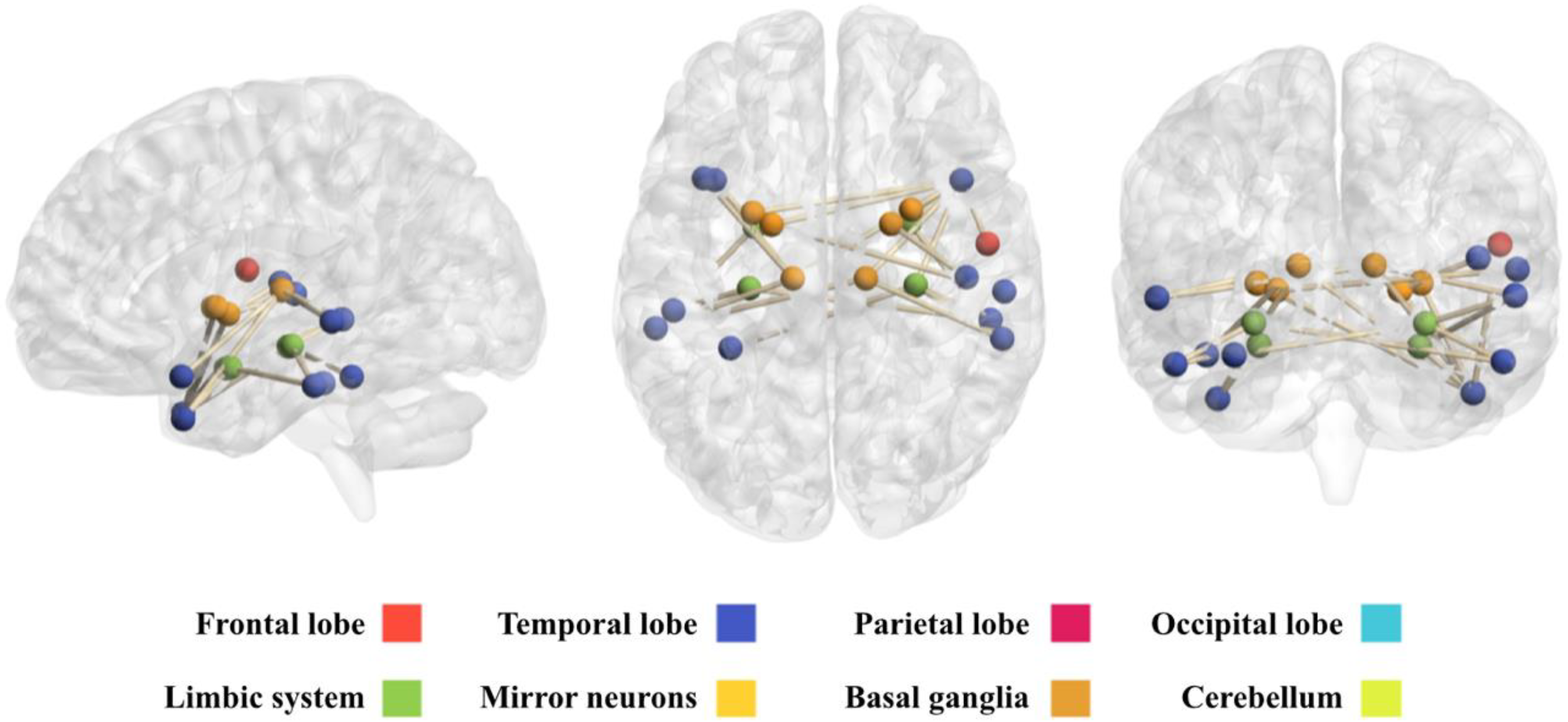 Diagnostics 08 00051 g004