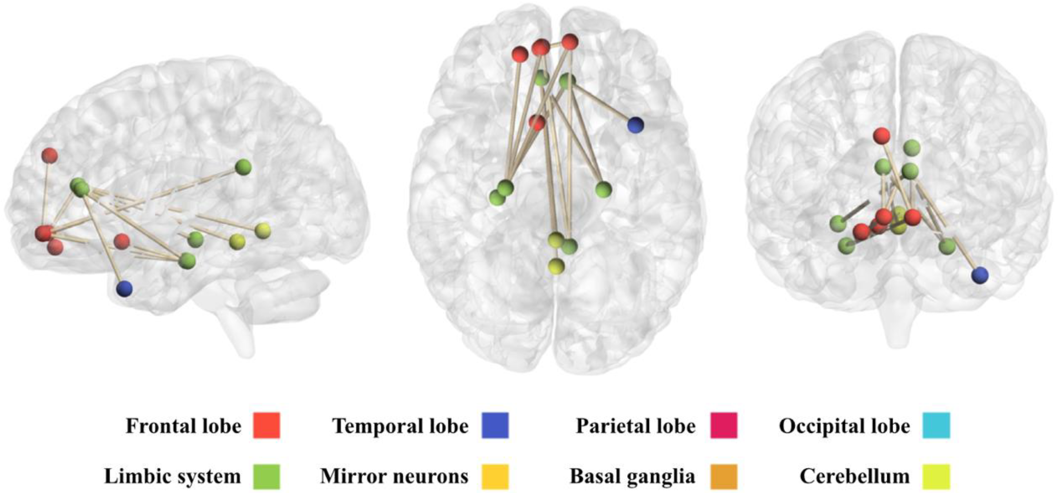 Diagnostics 08 00051 g006