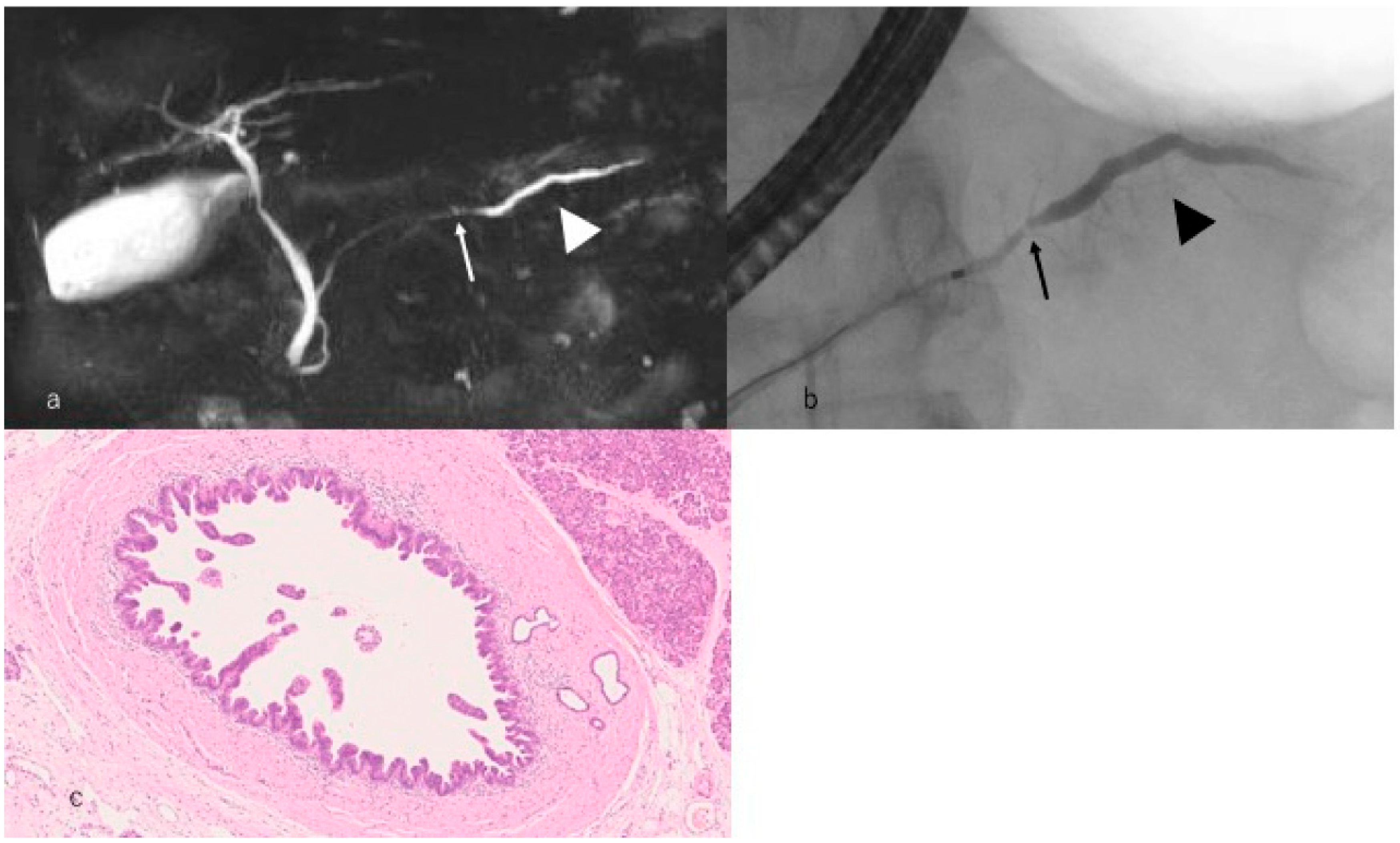 Diagnostics 09 00018 g003