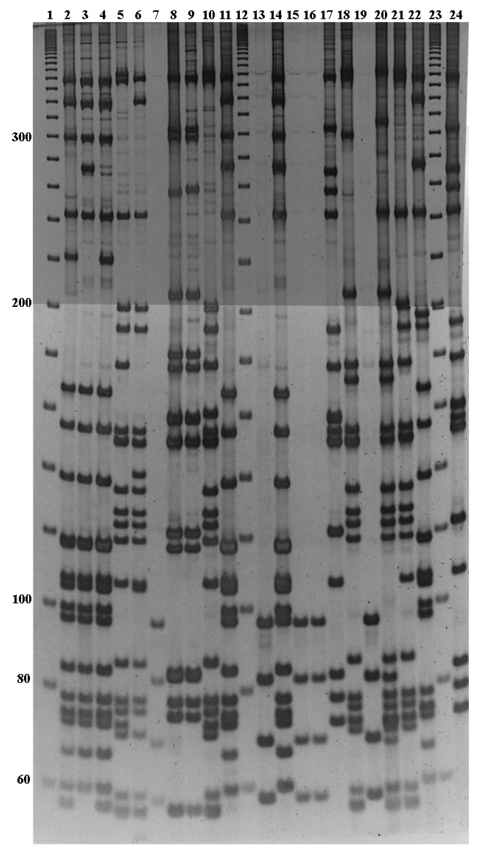 Diagnostics 09 00196 g002