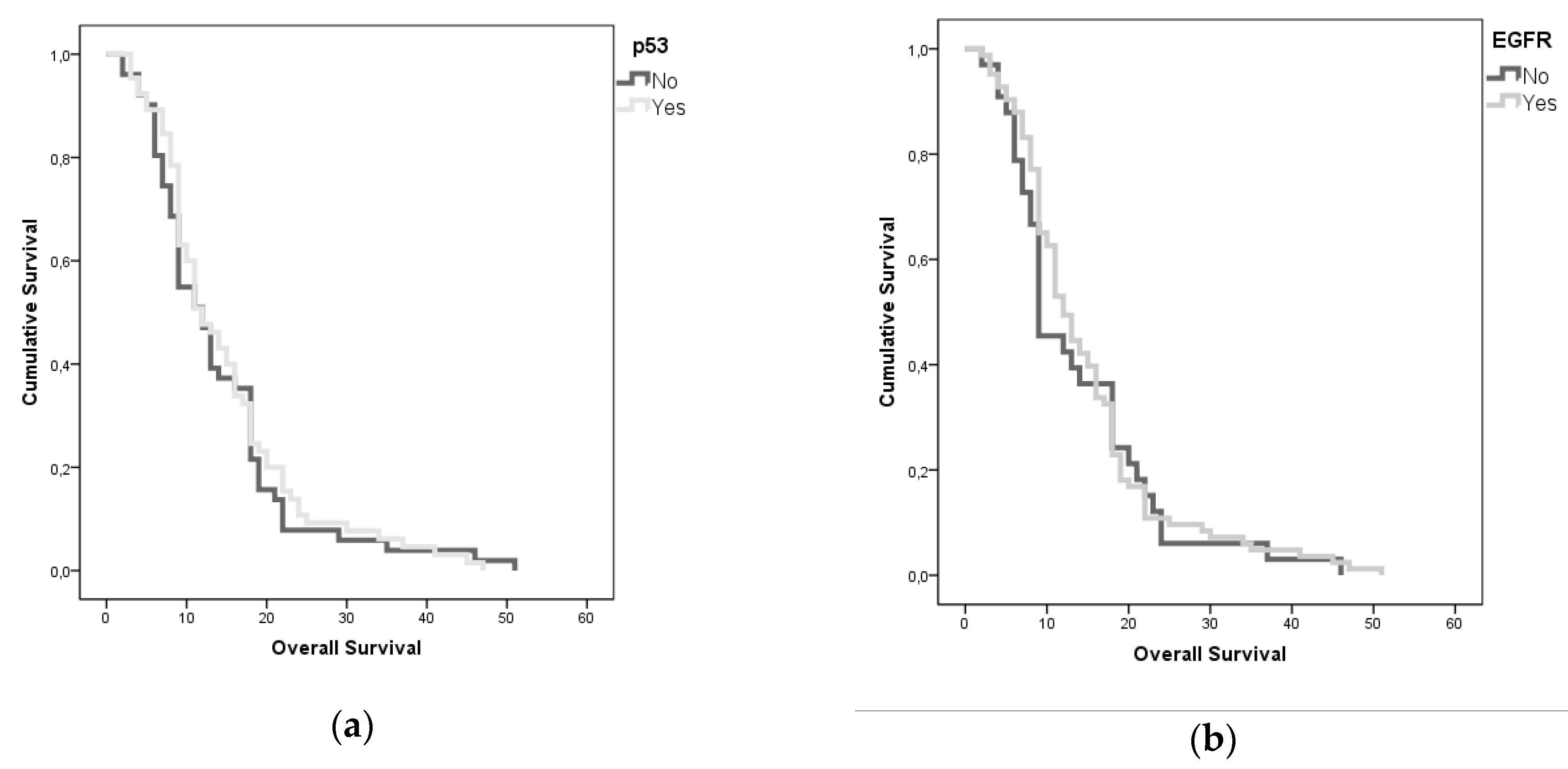Diagnostics 09 00209 g010 Diagnostics 09 00209 g010