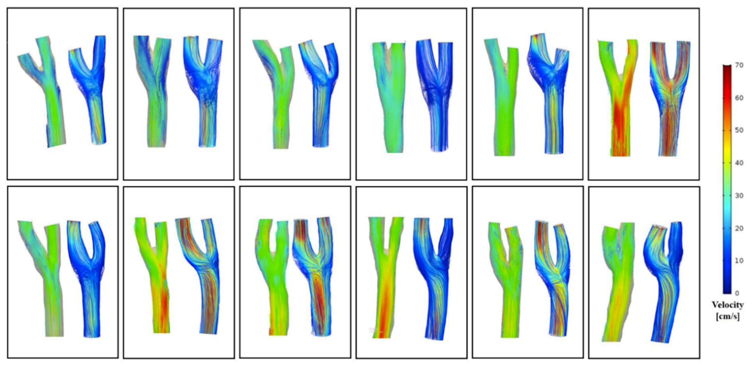 Diagnostics 09 00223 g004