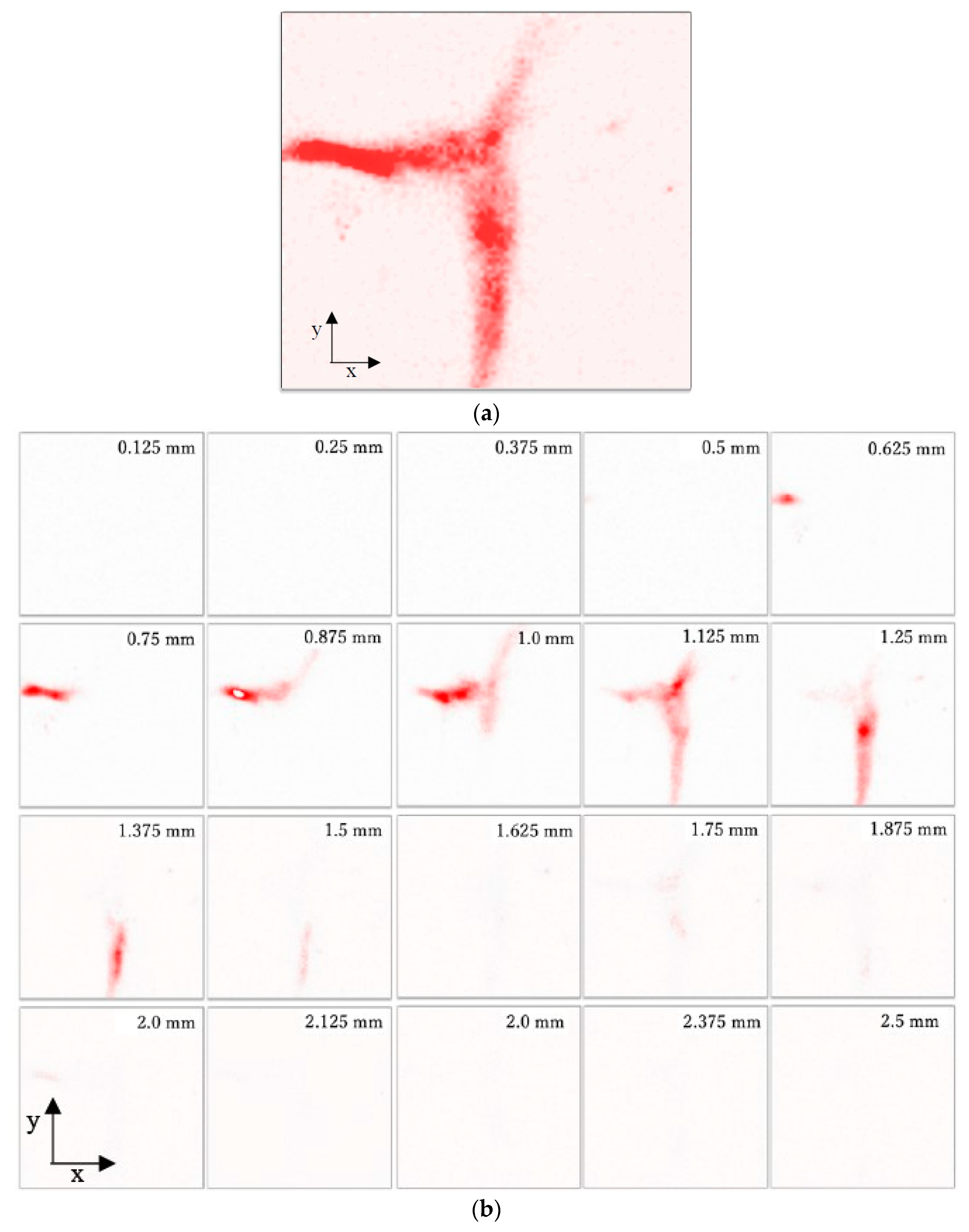Diagnostics 10 00006 g013a