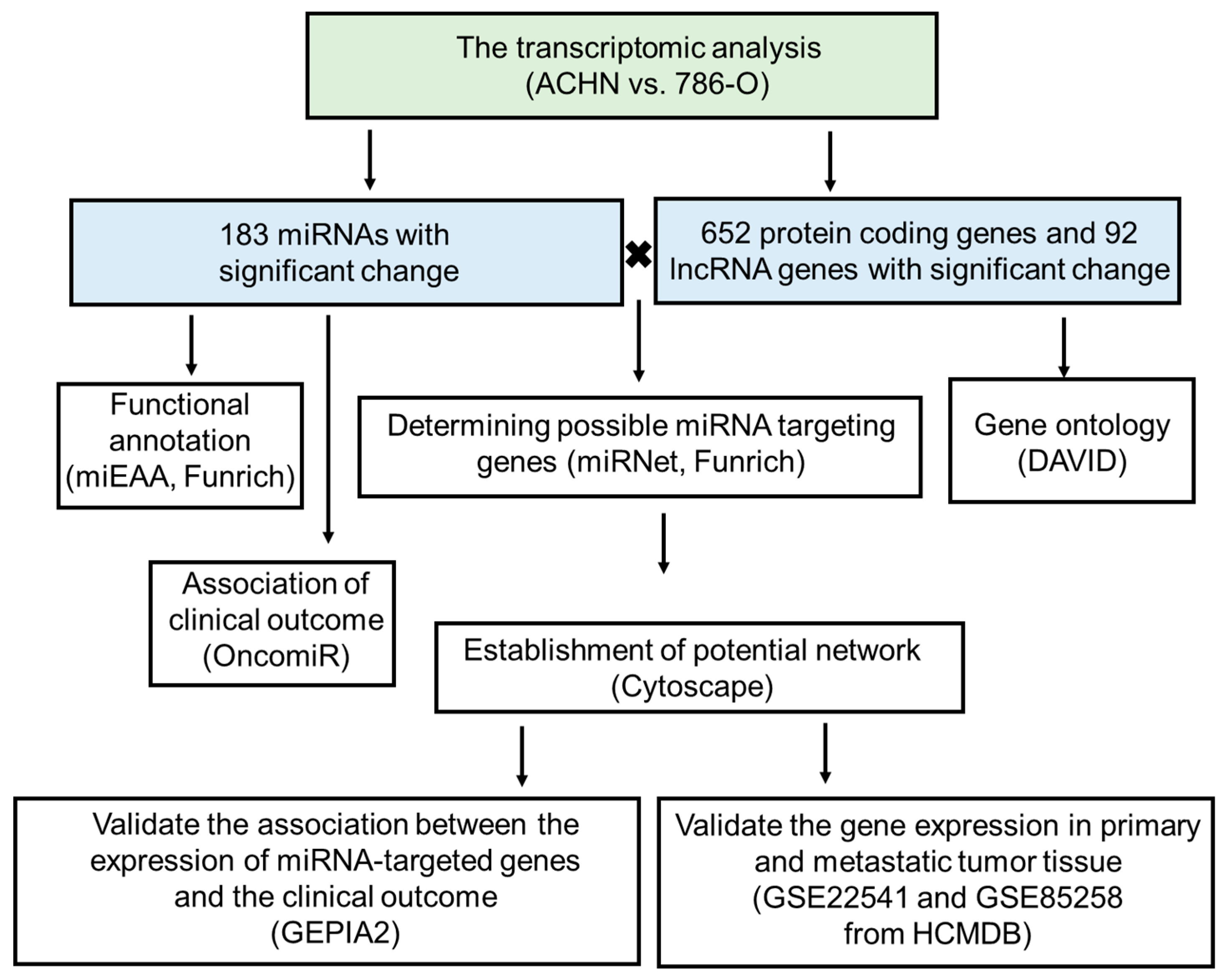Diagnostics 10 00228 g001