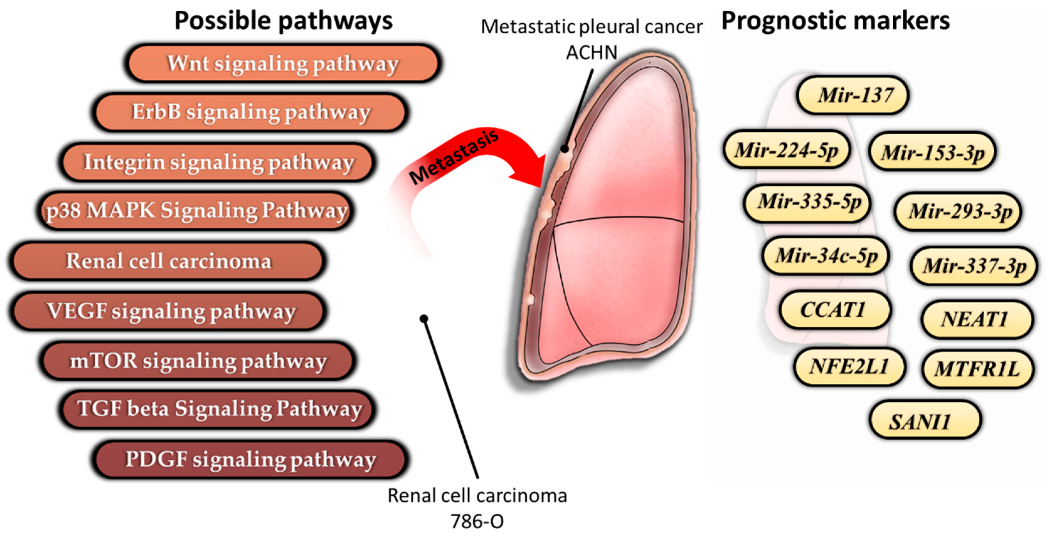 Diagnostics 10 00228 g005
