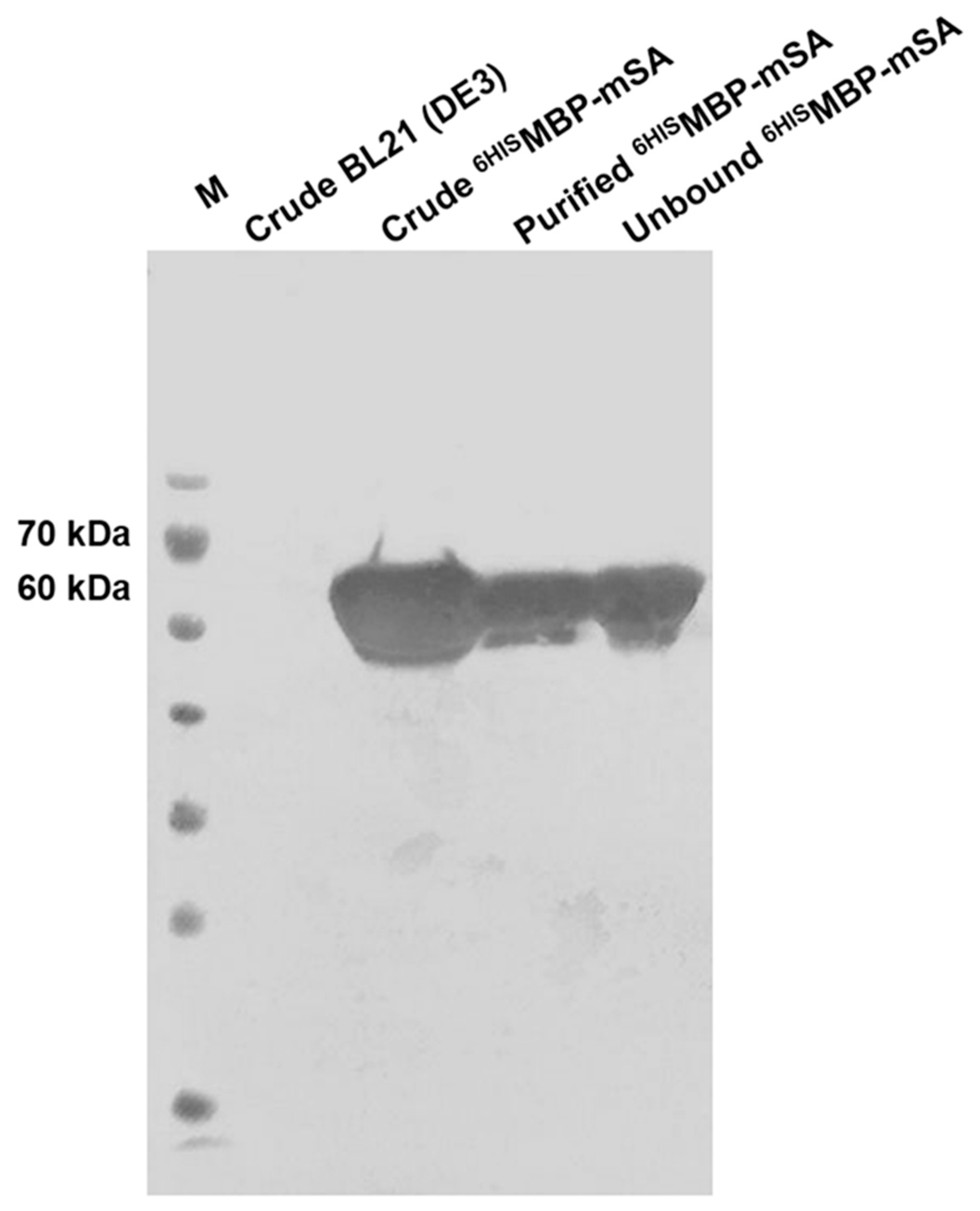 Diagnostics 11 00987 g003