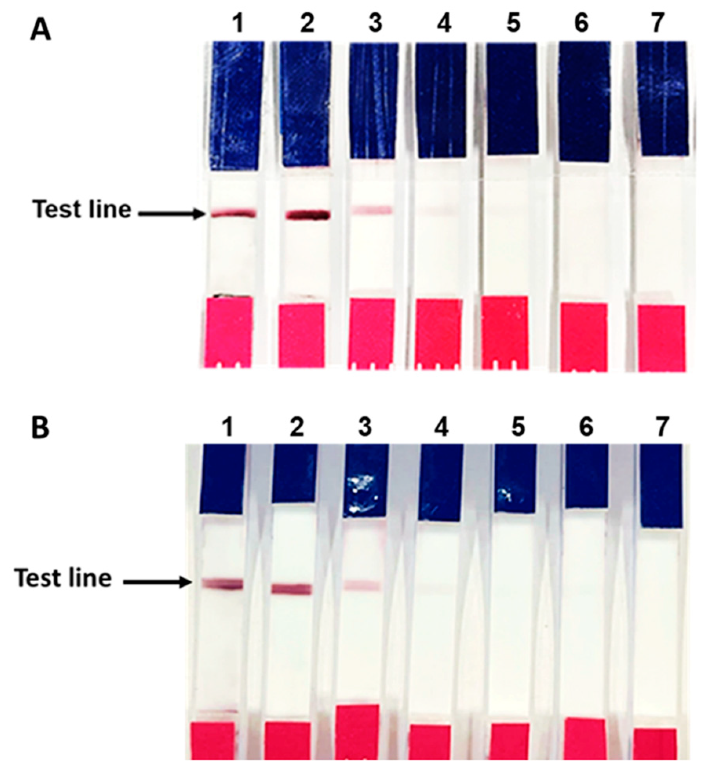 Diagnostics 11 00987 g006
