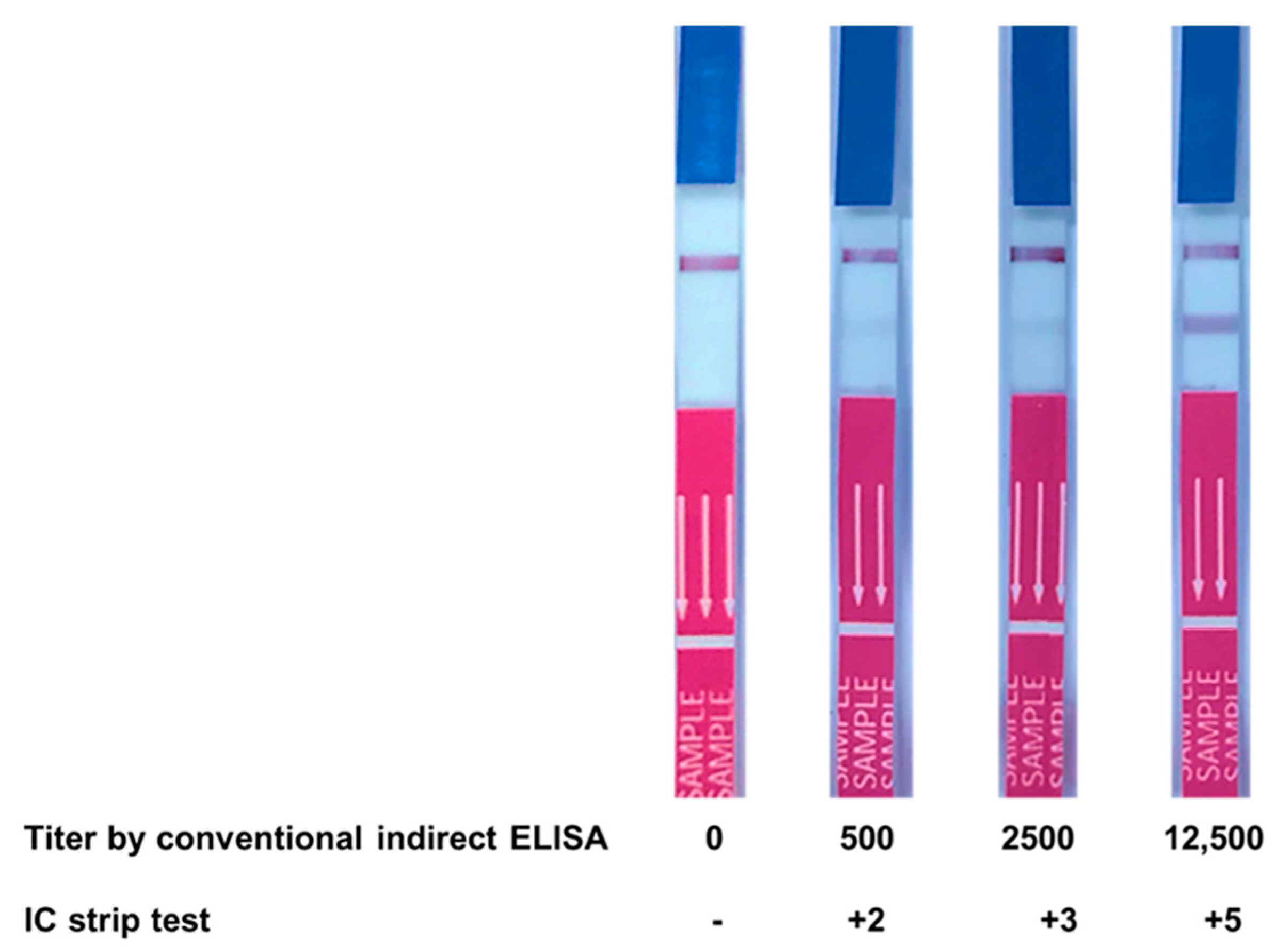 Diagnostics 11 00987 g007