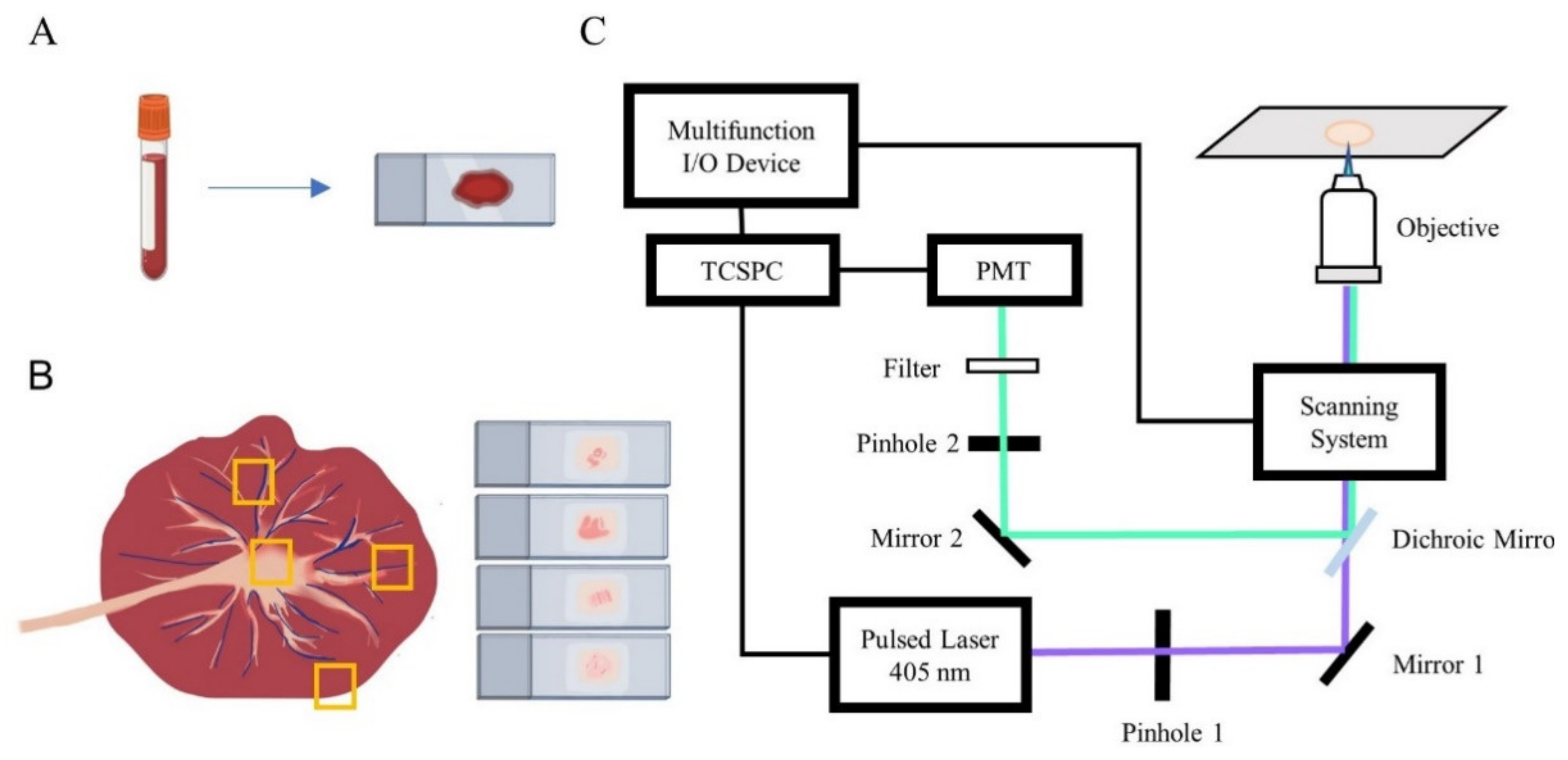 Diagnostics 11 01494 g001