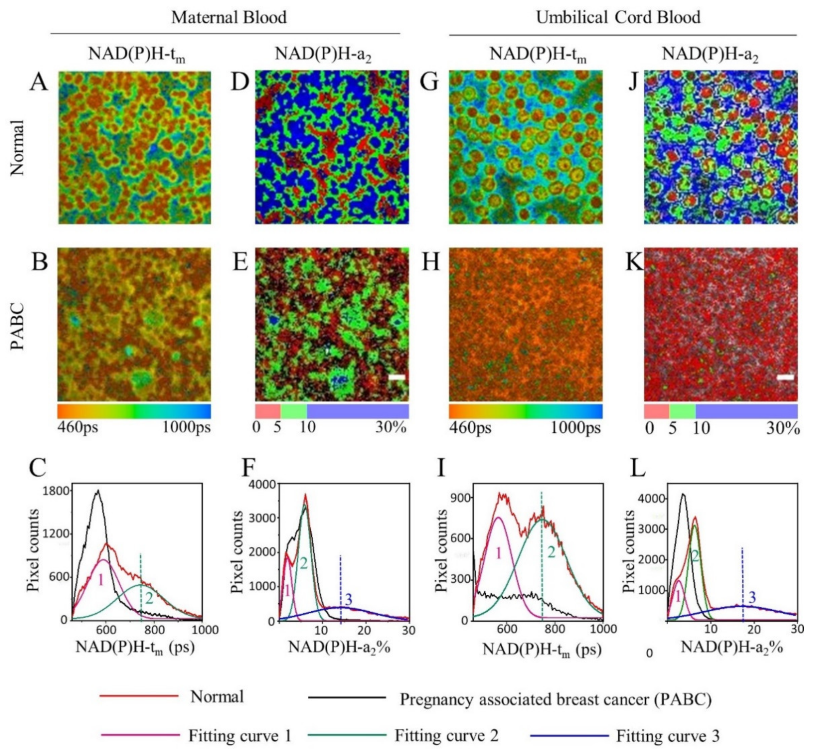 Diagnostics 11 01494 g002