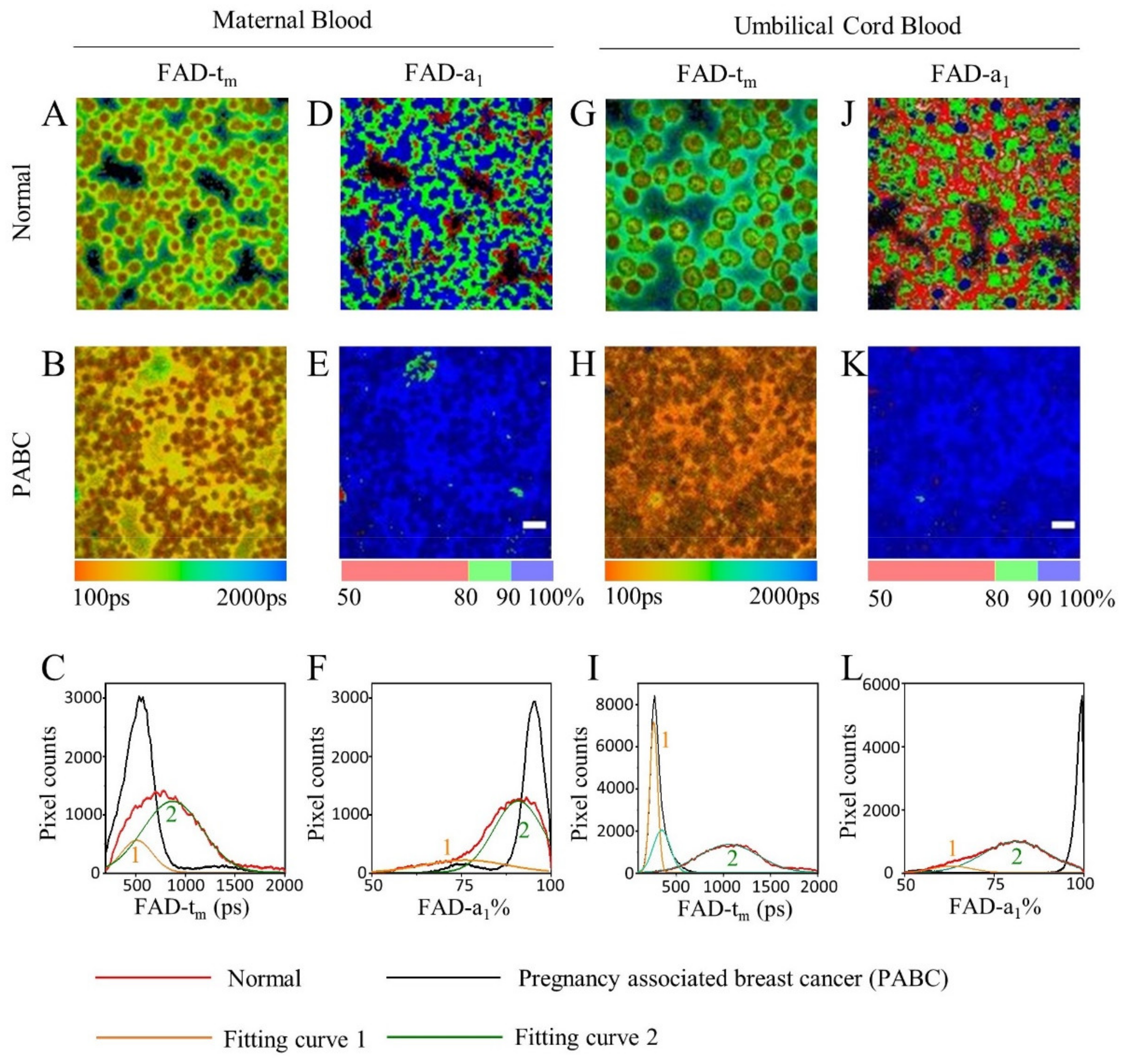 Diagnostics 11 01494 g004