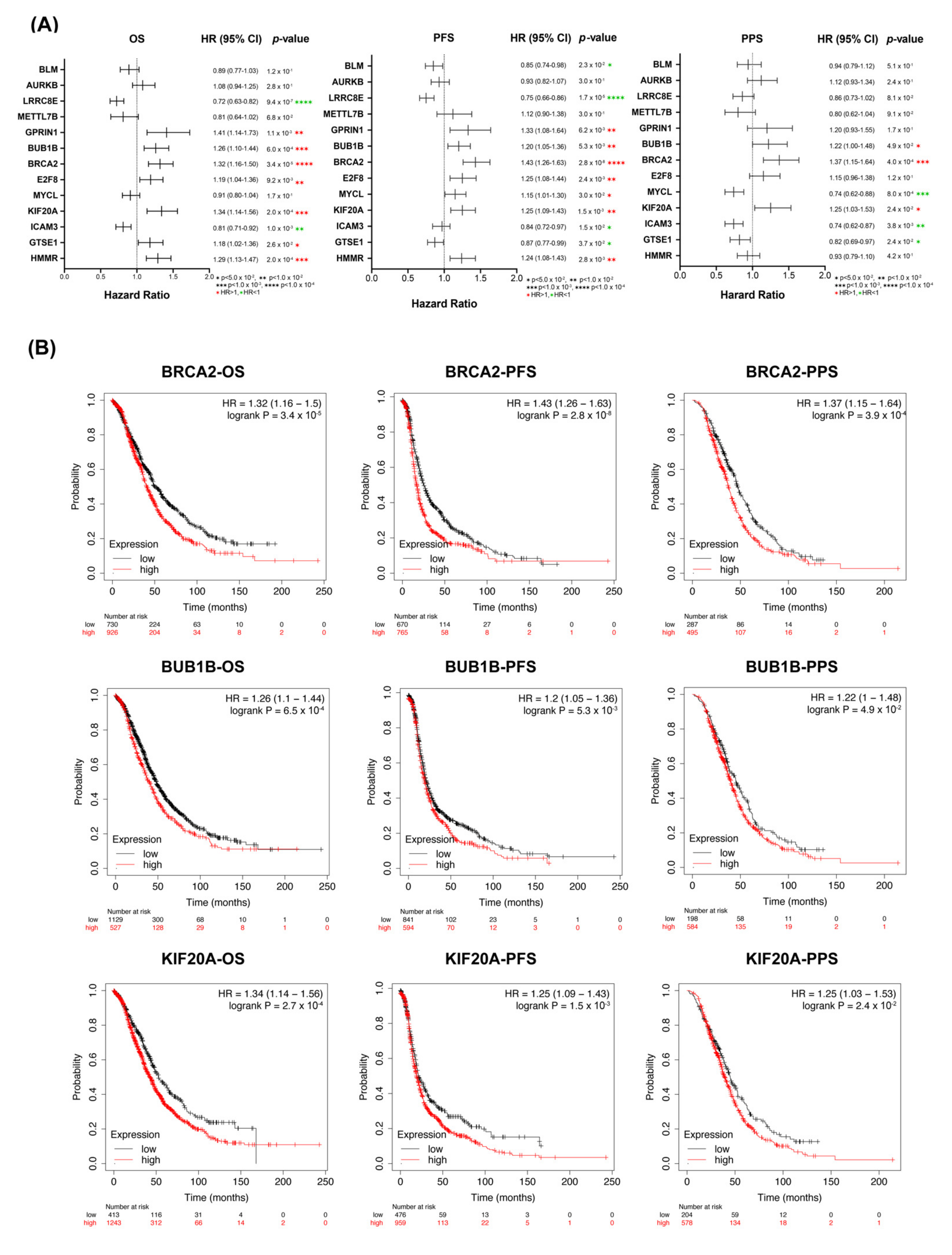 Diagnostics 12 00470 g002