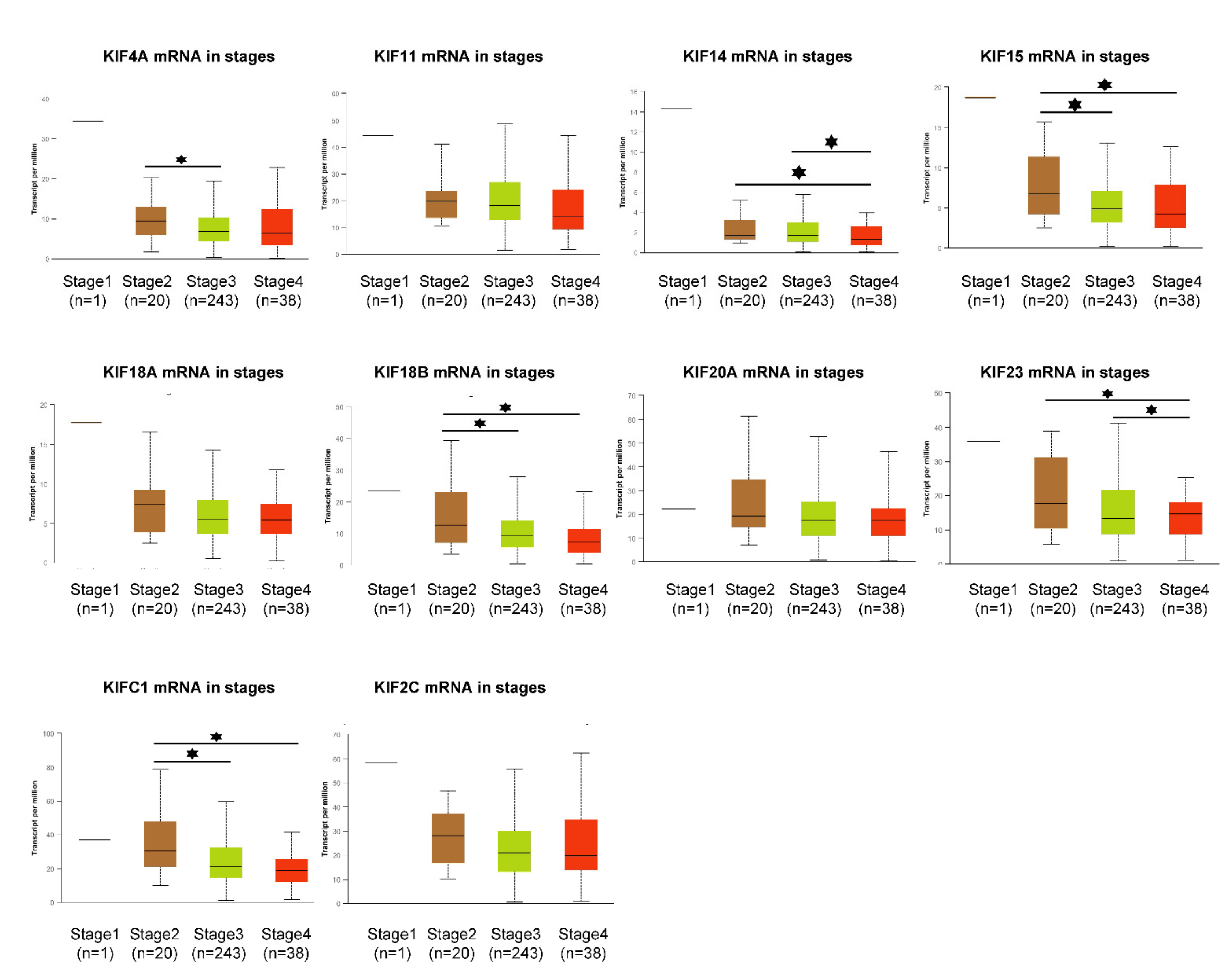 Diagnostics 12 00470 g005