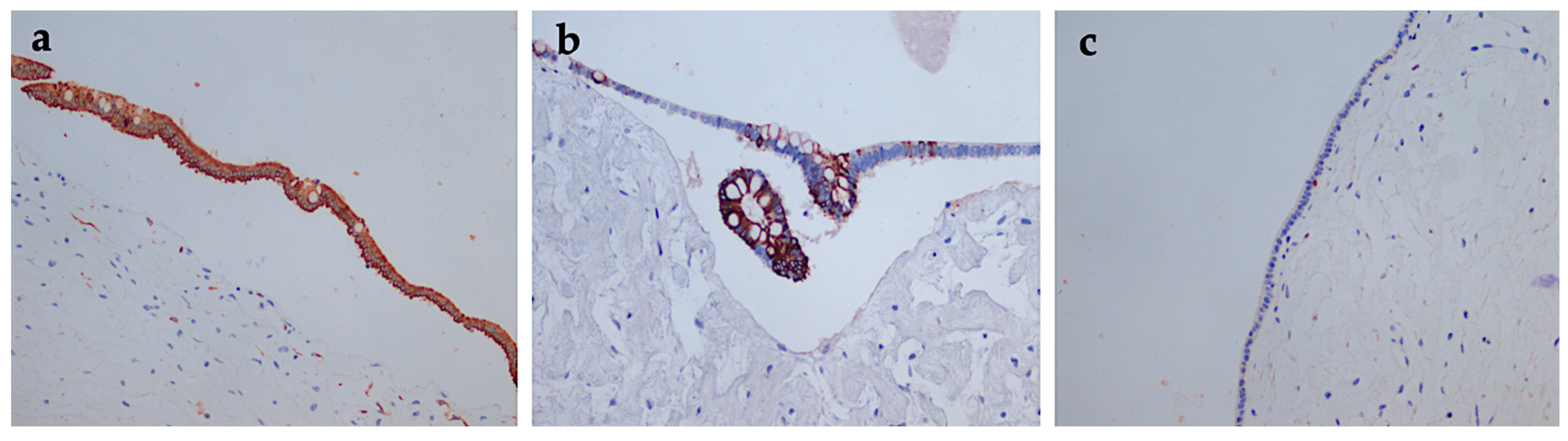 Diagnostics 12 00758 g005 Diagnostics 12 00758 g005