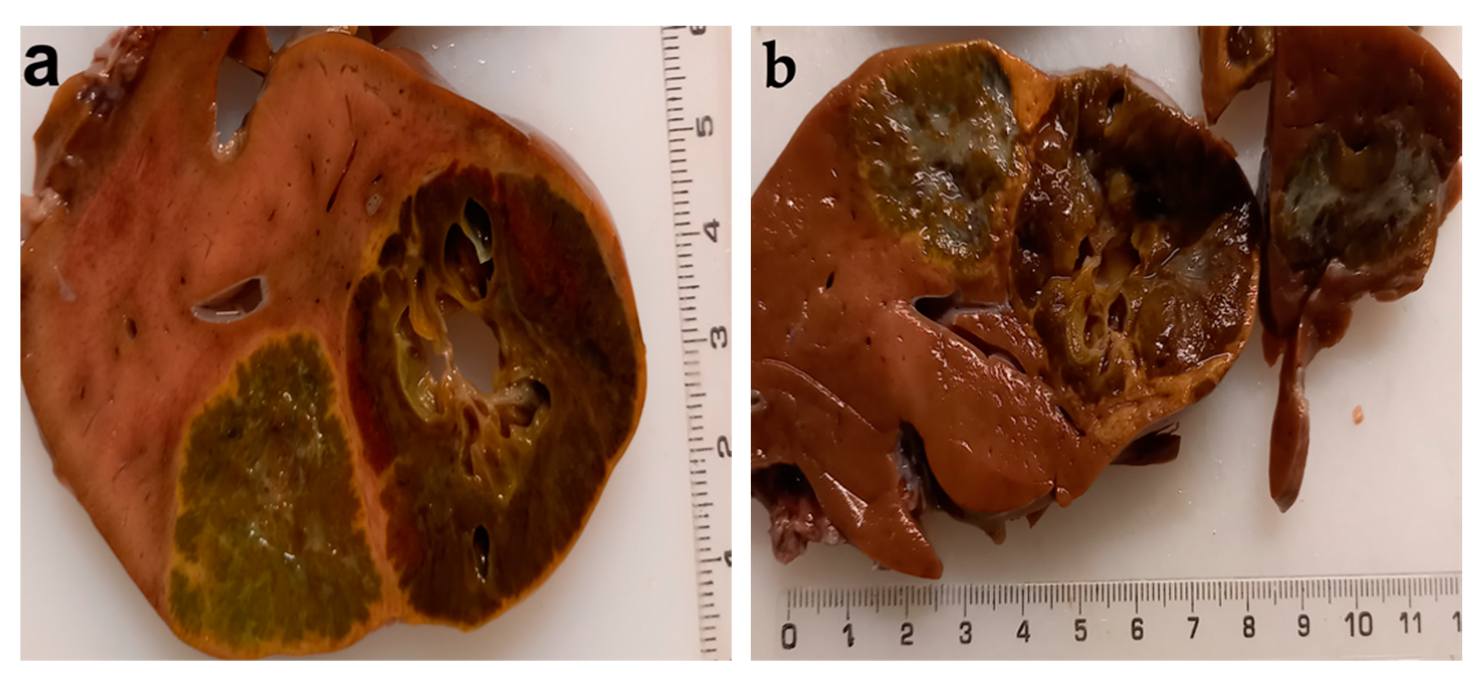 Diagnostics 12 00758 g006 Diagnostics 12 00758 g006