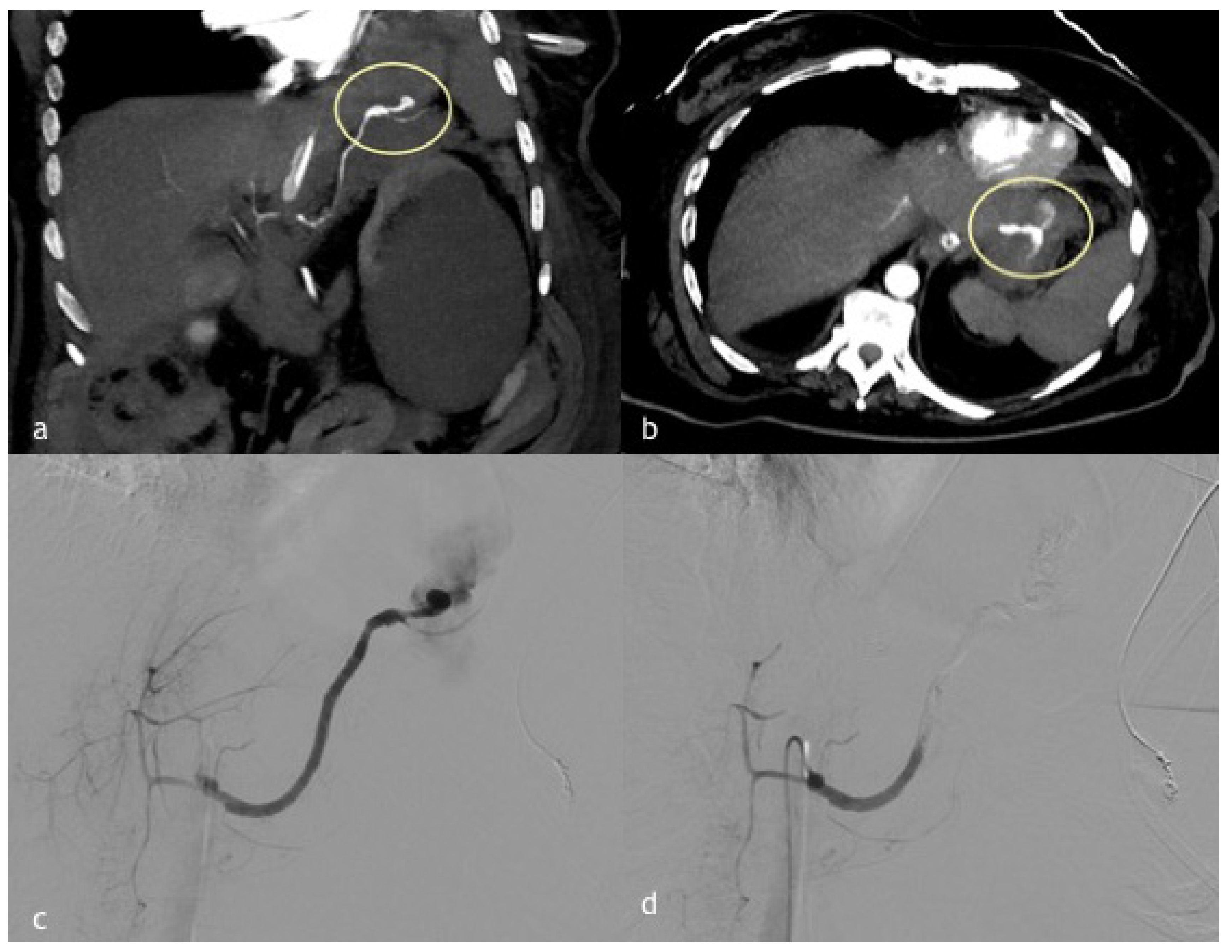 Diagnostics 12 01012 g003 Diagnostics 12 01012 g003