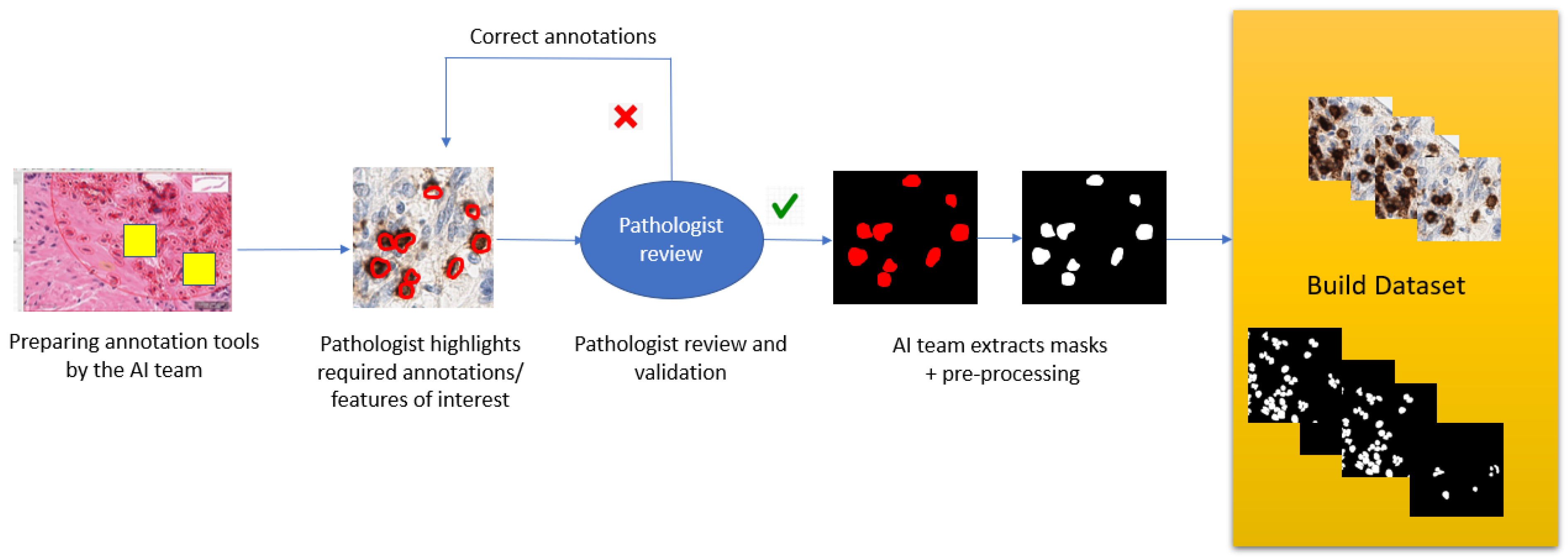 Diagnostics 12 01272 g002