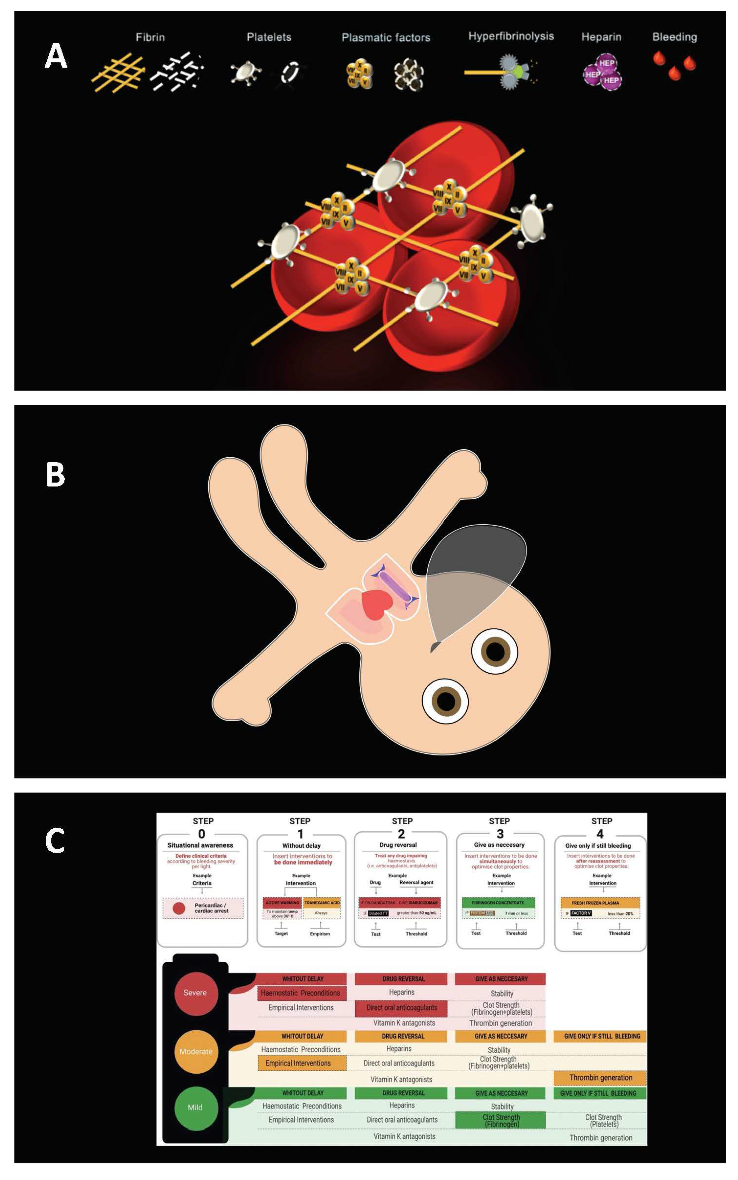 Diagnostics 12 01835 g001