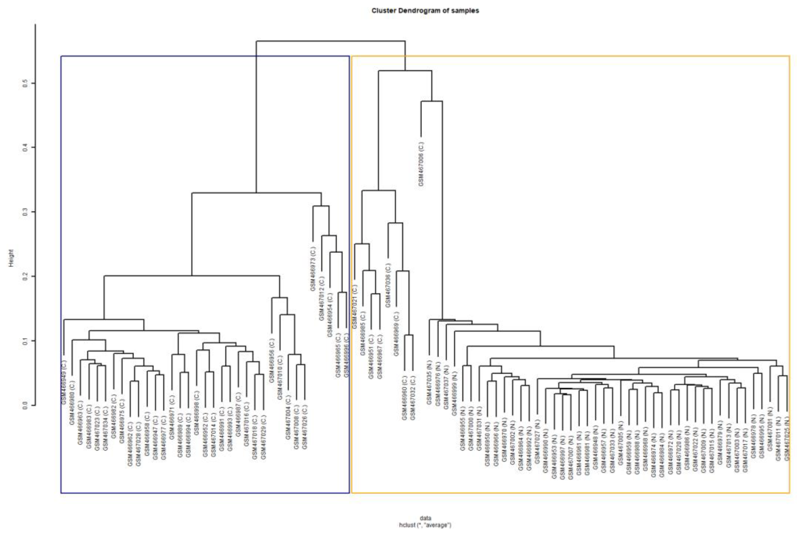 Diagnostics 13 00738 g004 Diagnostics 13 00738 g004