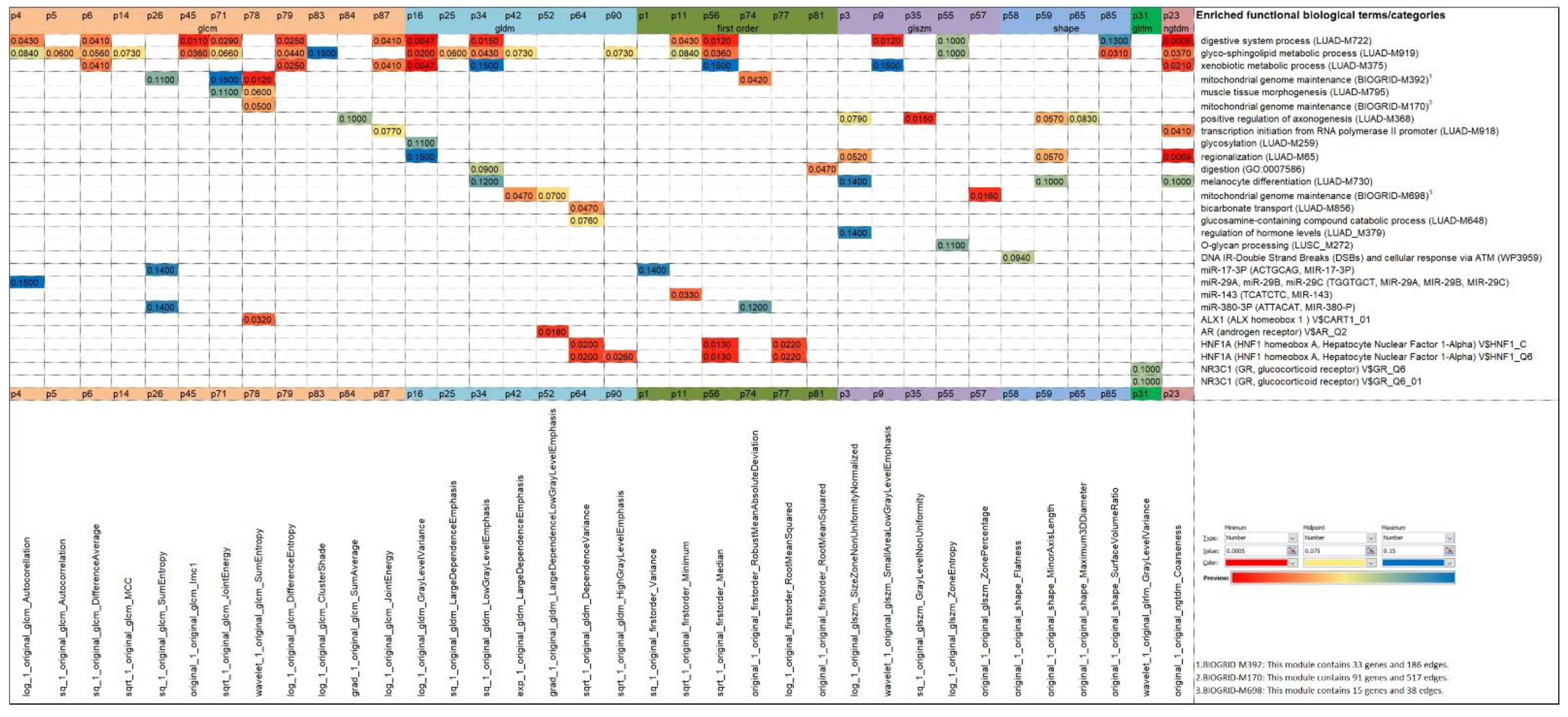Diagnostics 13 00738 g008 Diagnostics 13 00738 g008