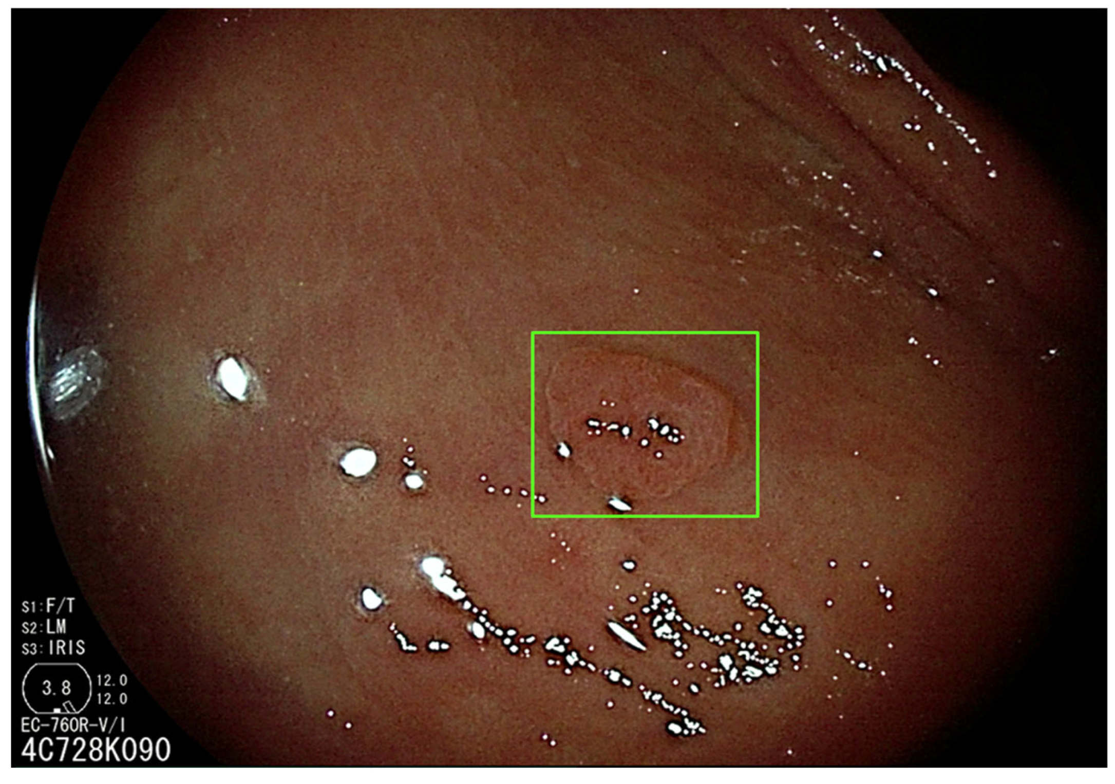 Diagnostics 13 01102 g002