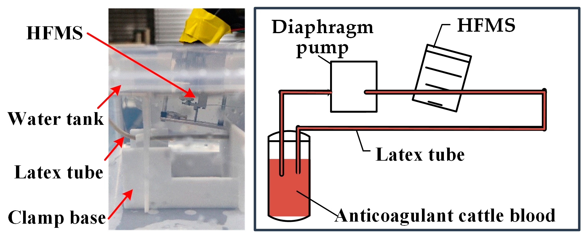 Diagnostics 13 01467 g010