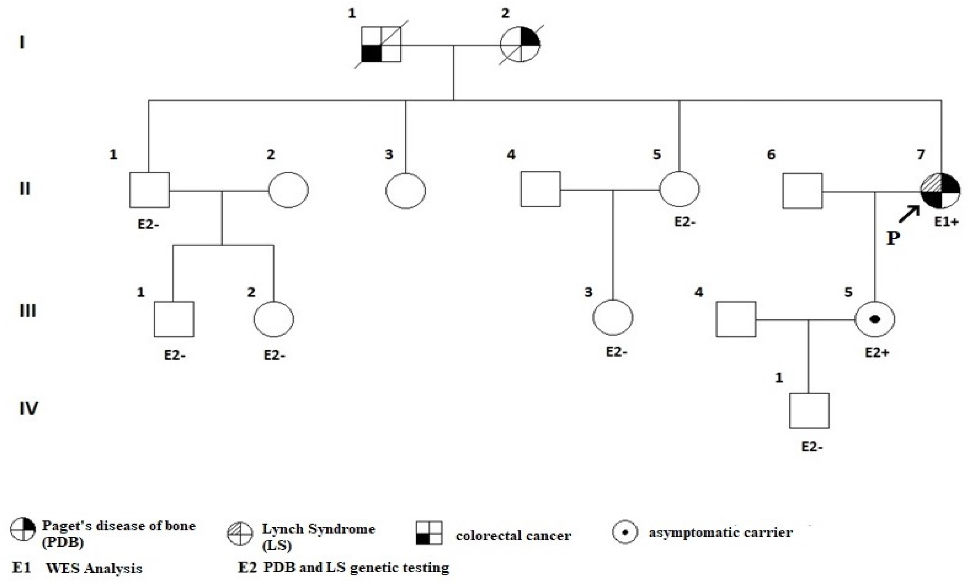 Diagnostics 13 02101 g004