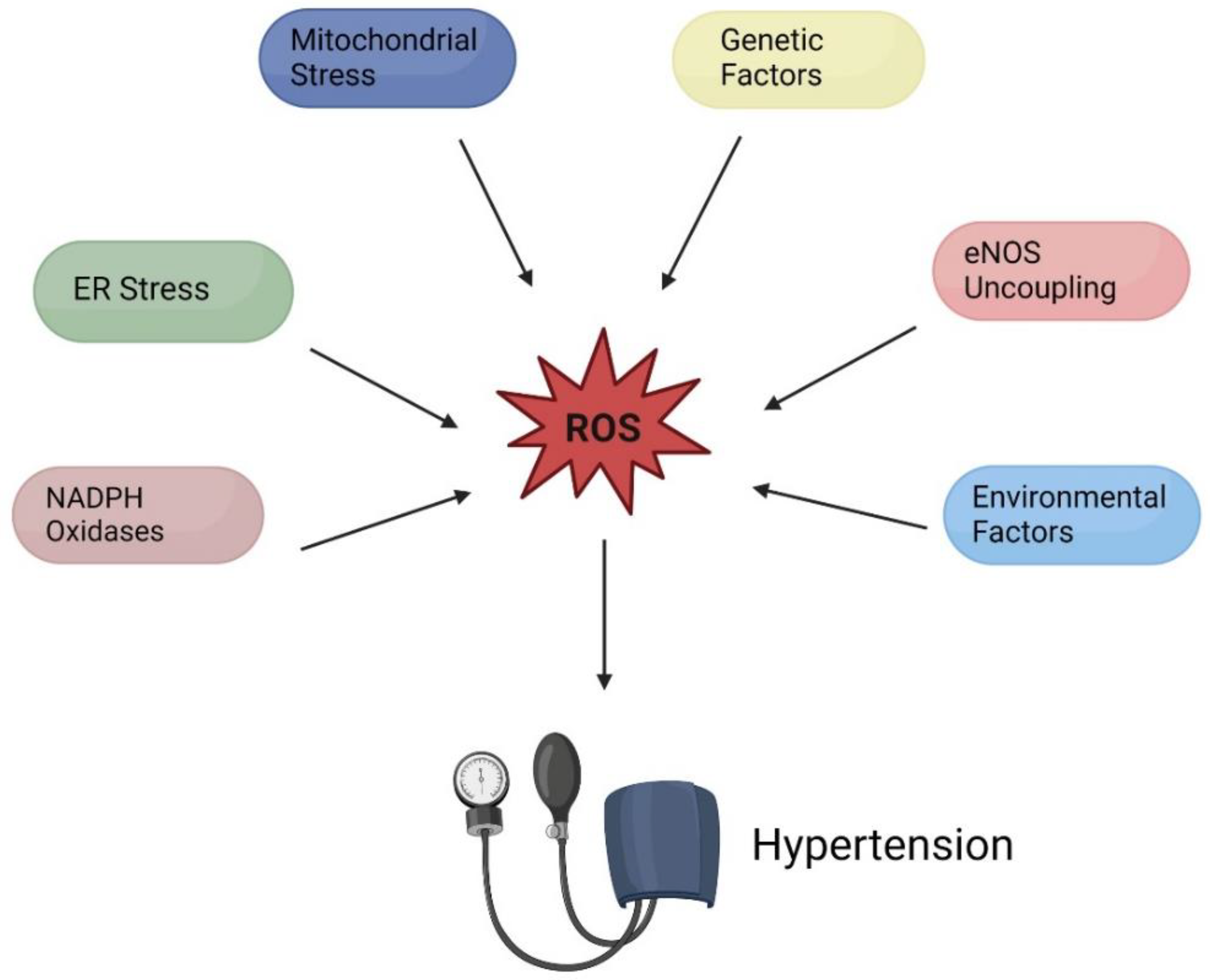 Diagnostics 13 02374 g001