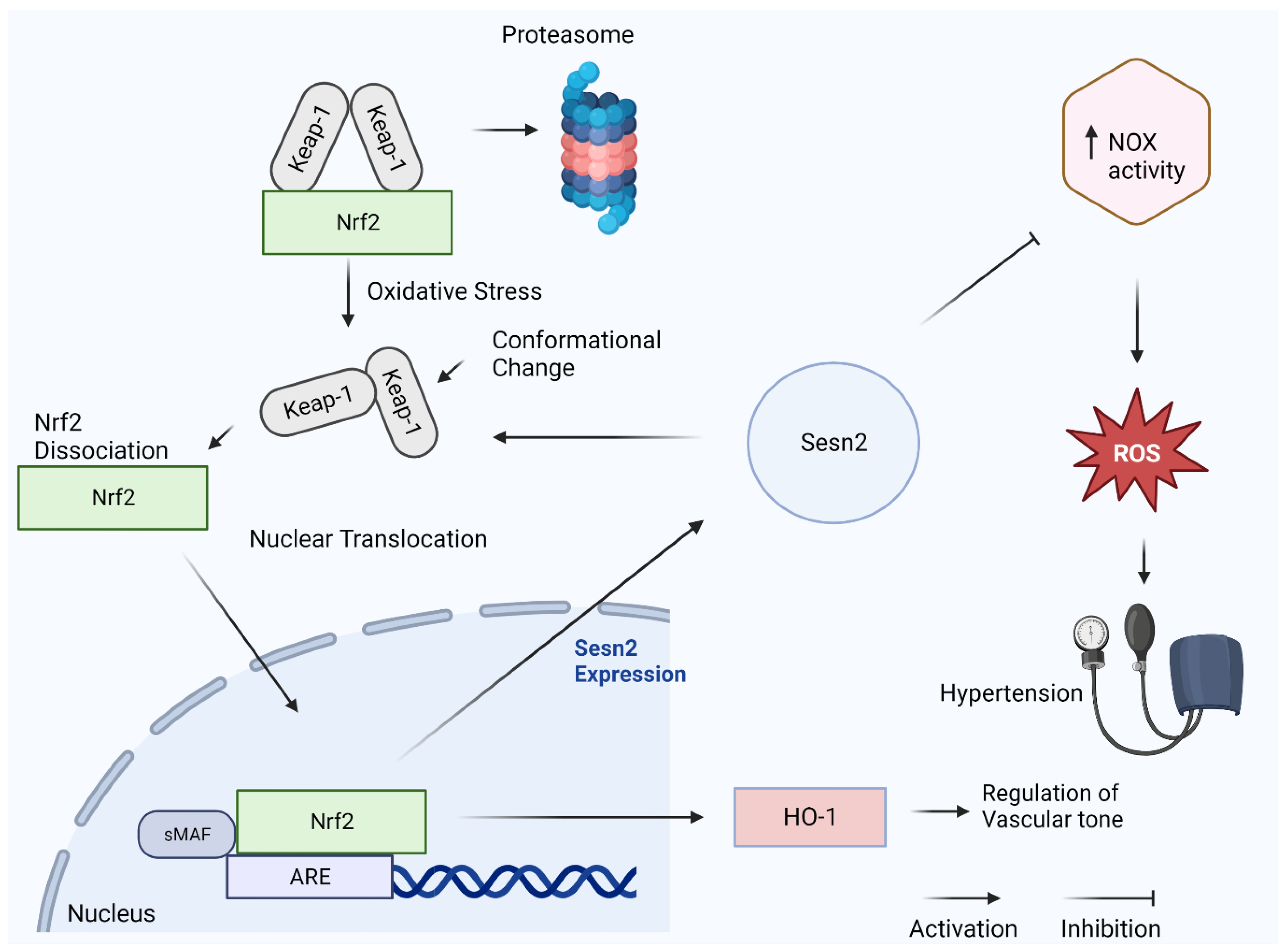 Diagnostics 13 02374 g002