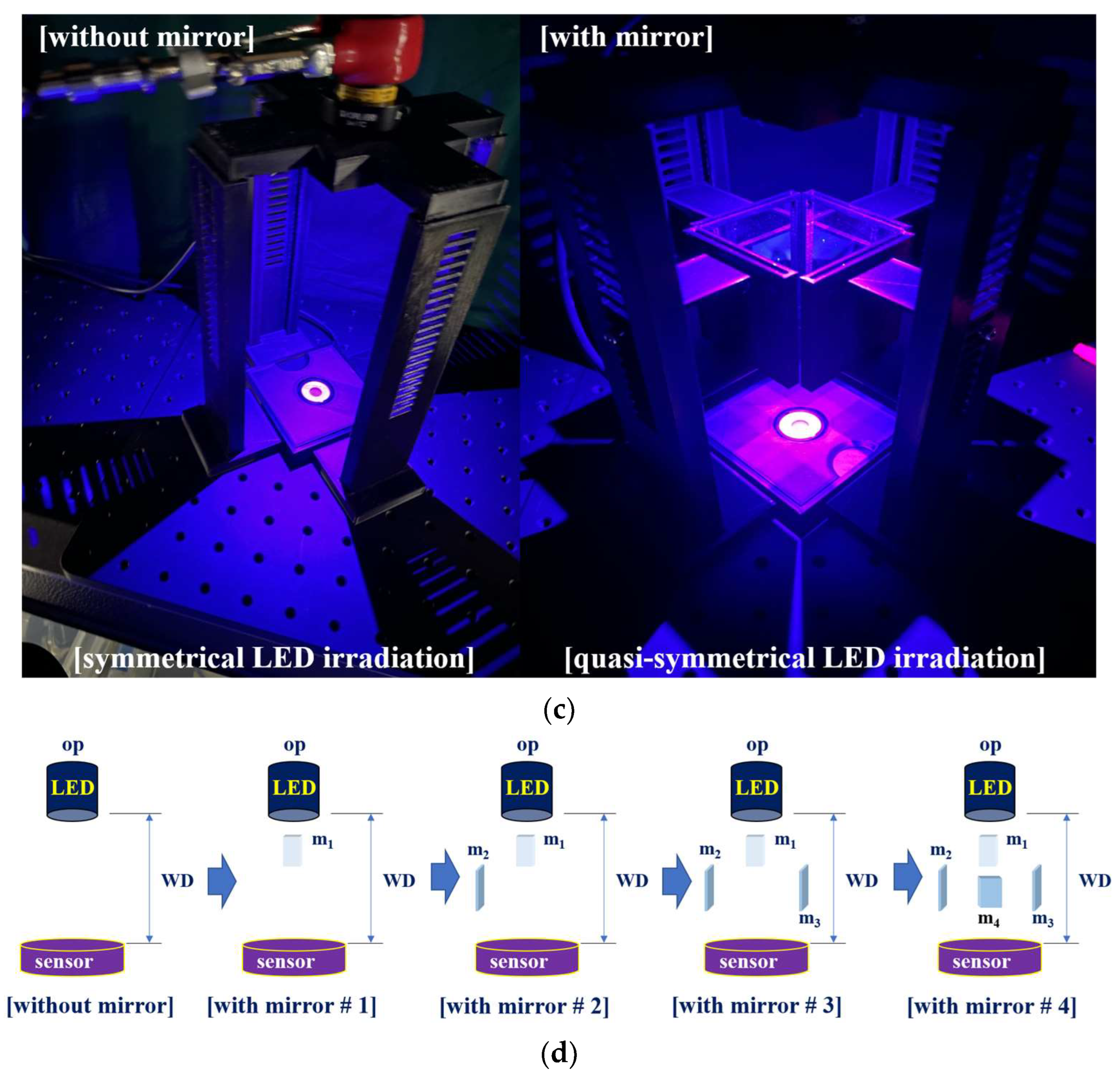 Diagnostics 13 02763 g004b Diagnostics 13 02763 g004b