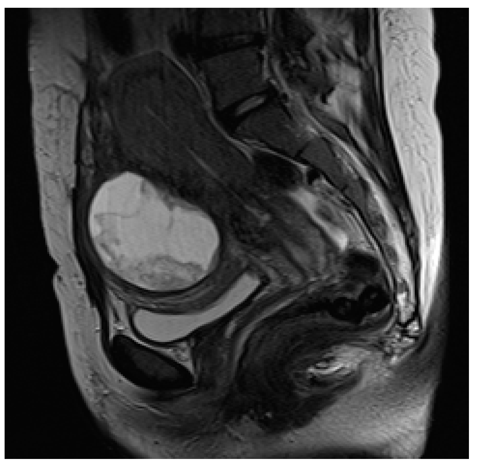 Diagnostics 13 02890 g006