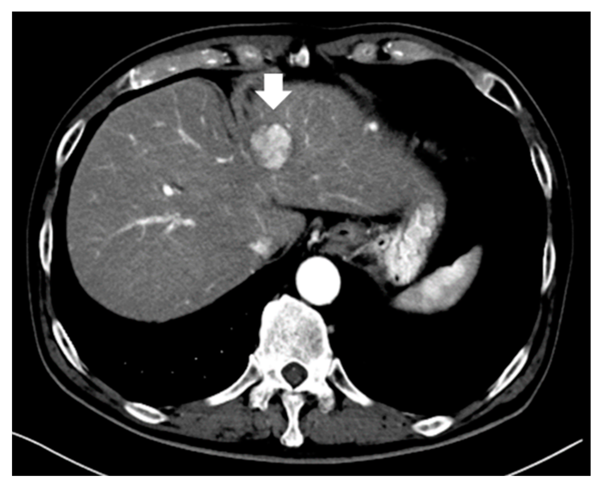 Diagnostics 13 03058 g003