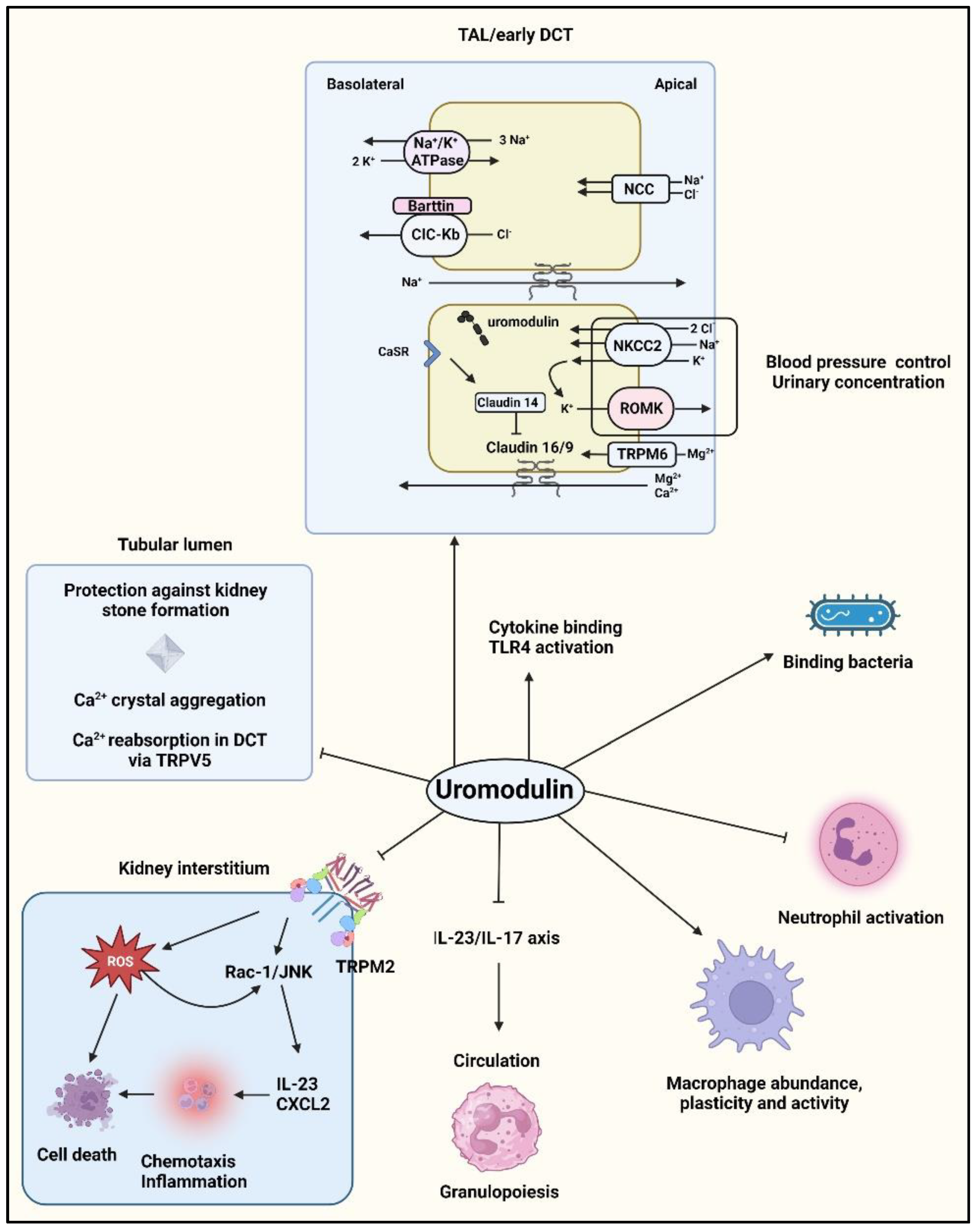 Diagnostics 13 03077 g002