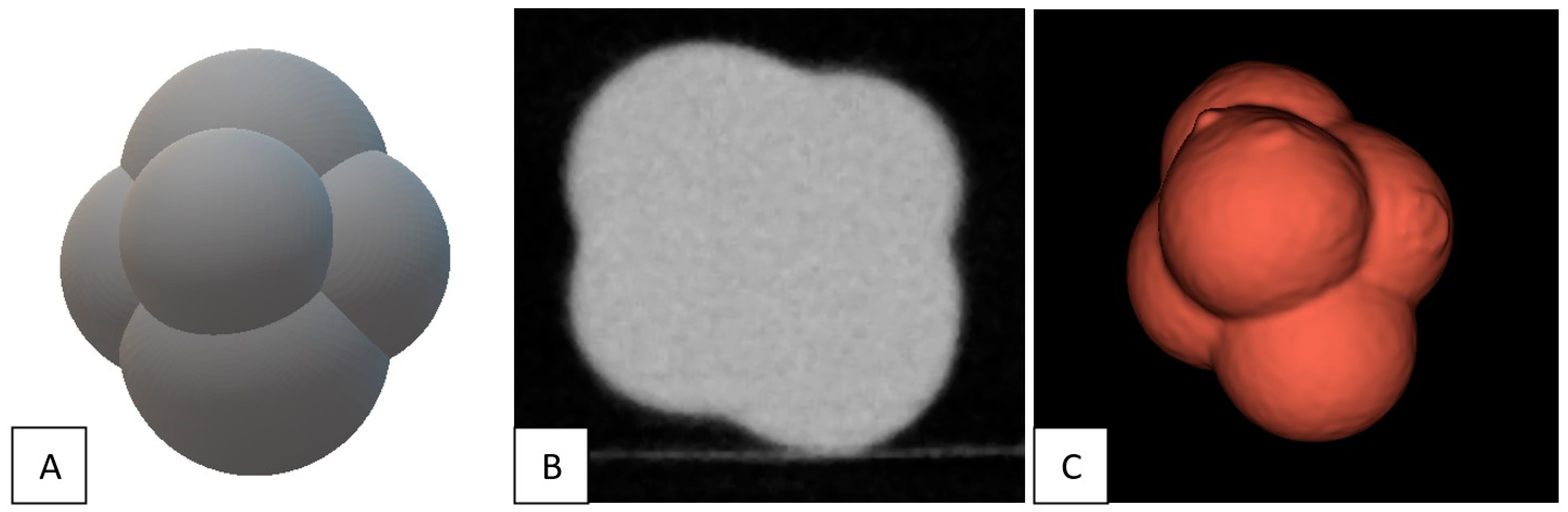 Diagnostics 13 03448 g005