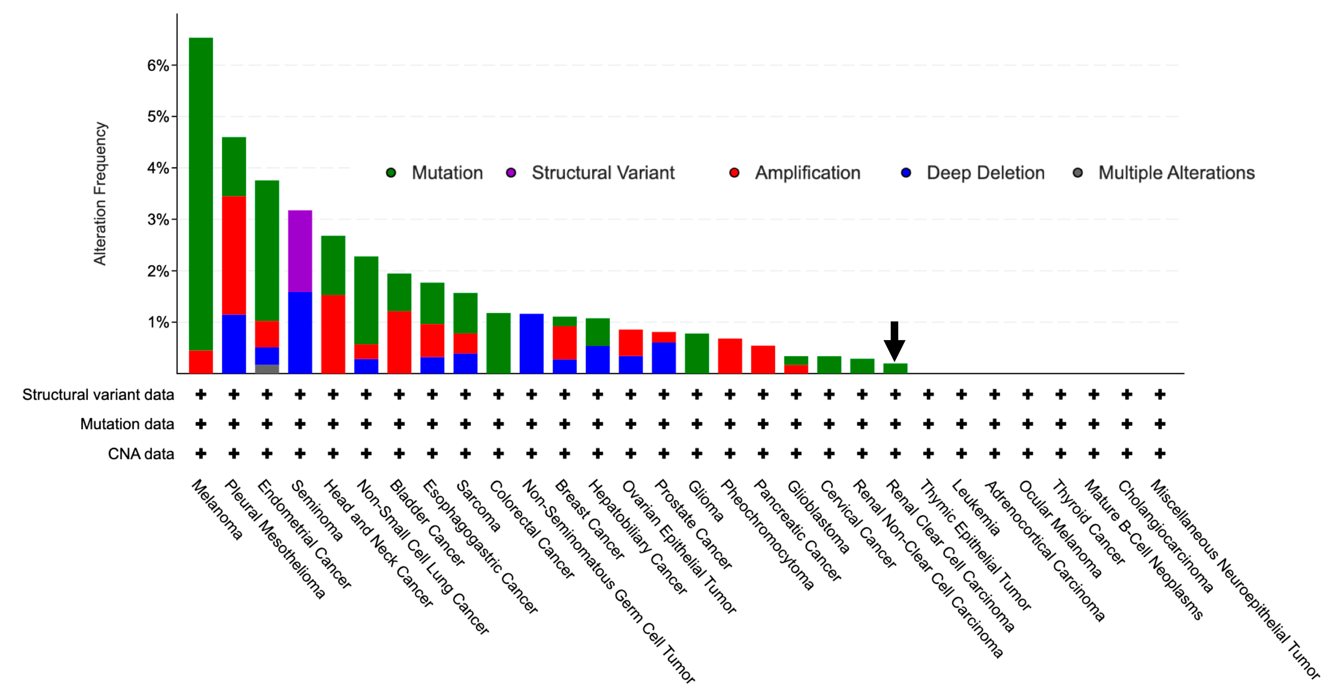 Diagnostics 13 03505 g004