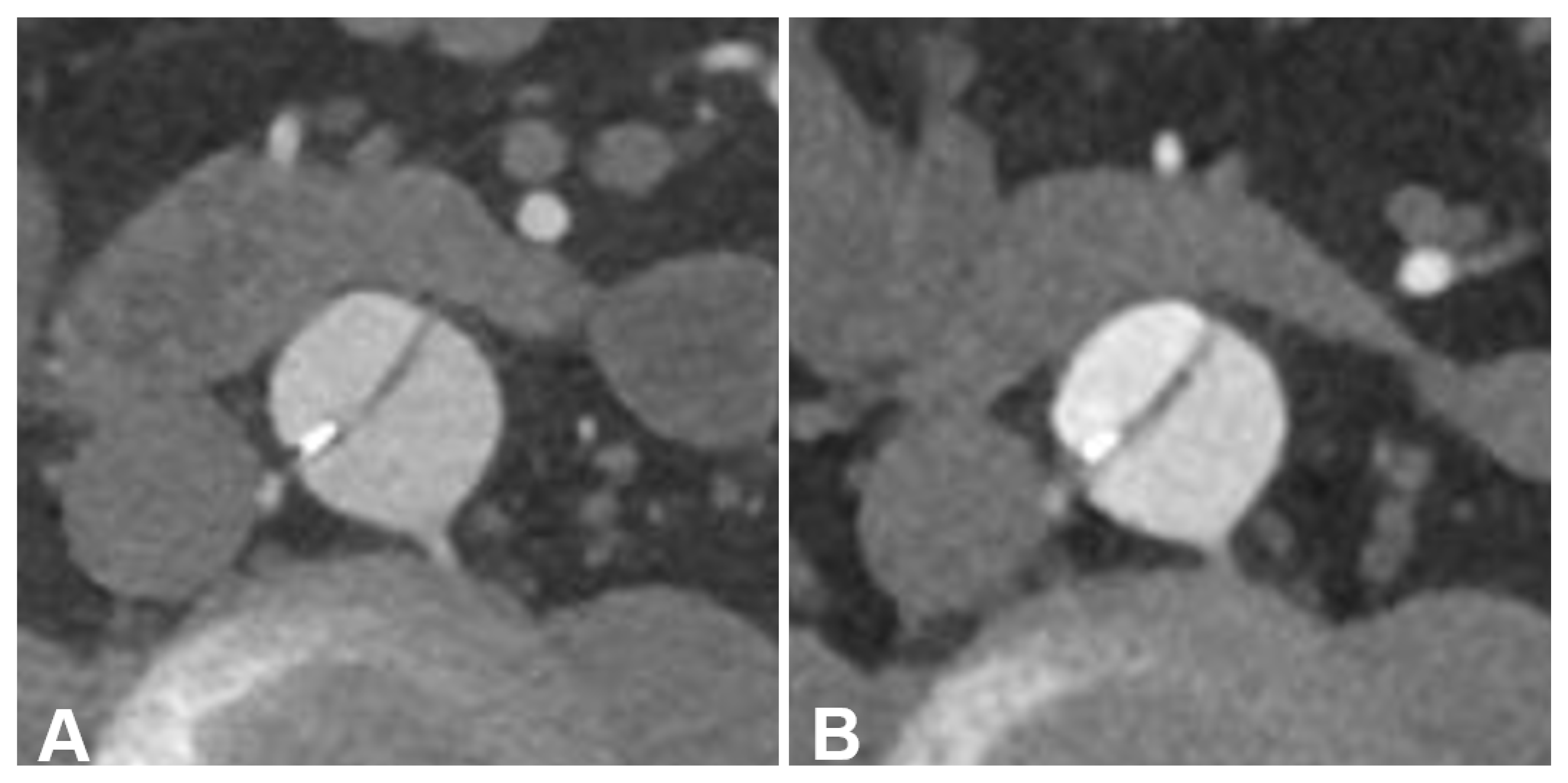 Diagnostics 13 03645 g006